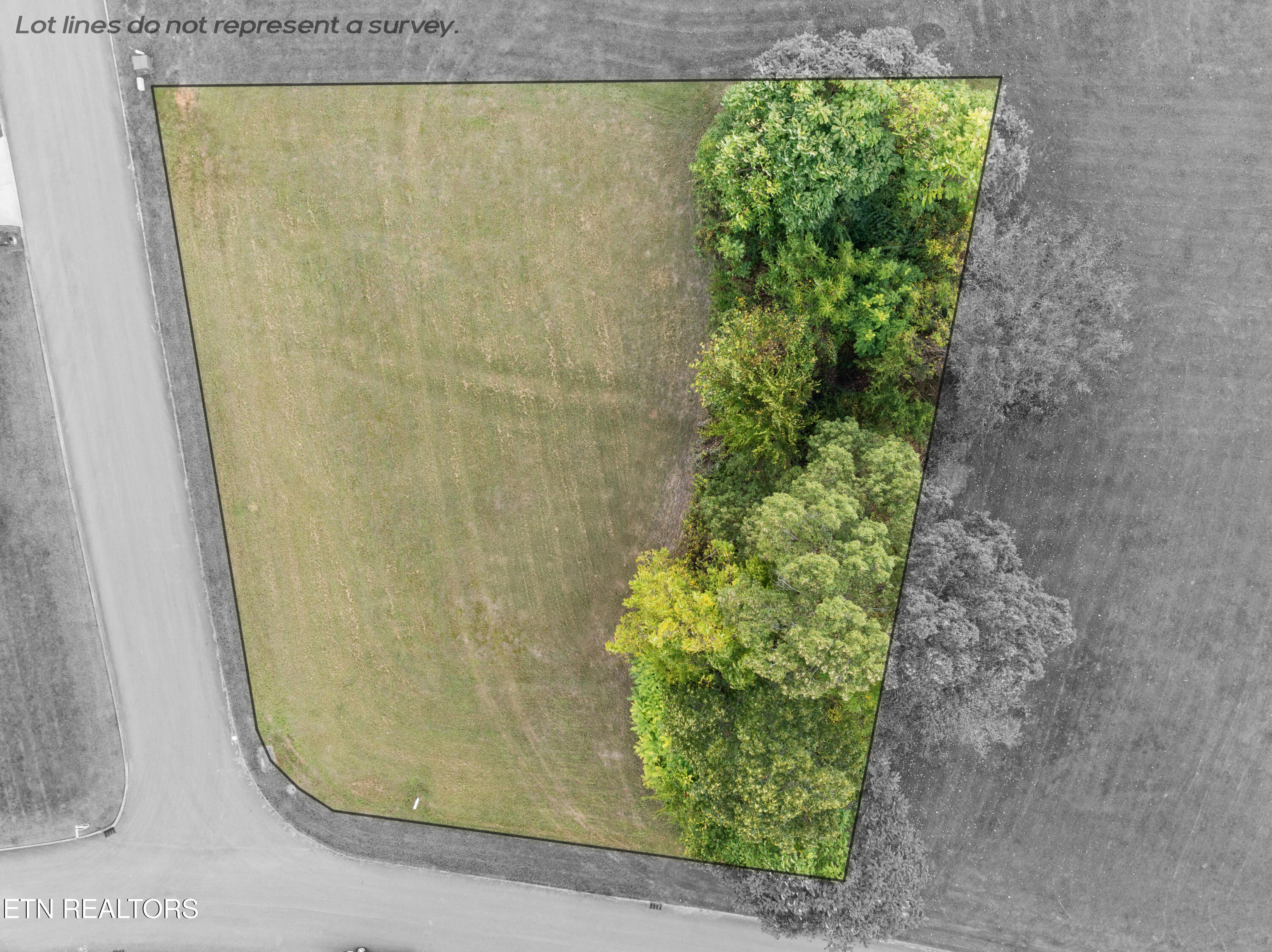 0 Campbells Point Road Corryton TN 37721