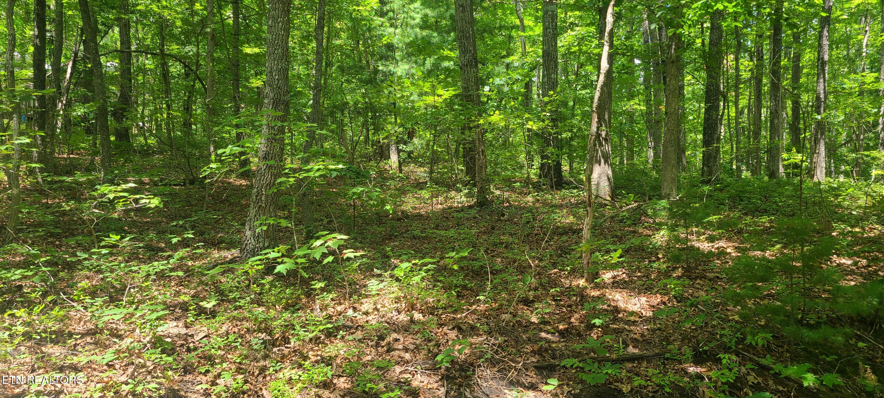 Lot 32,33 Gold Pond Way Tallassee TN 37878