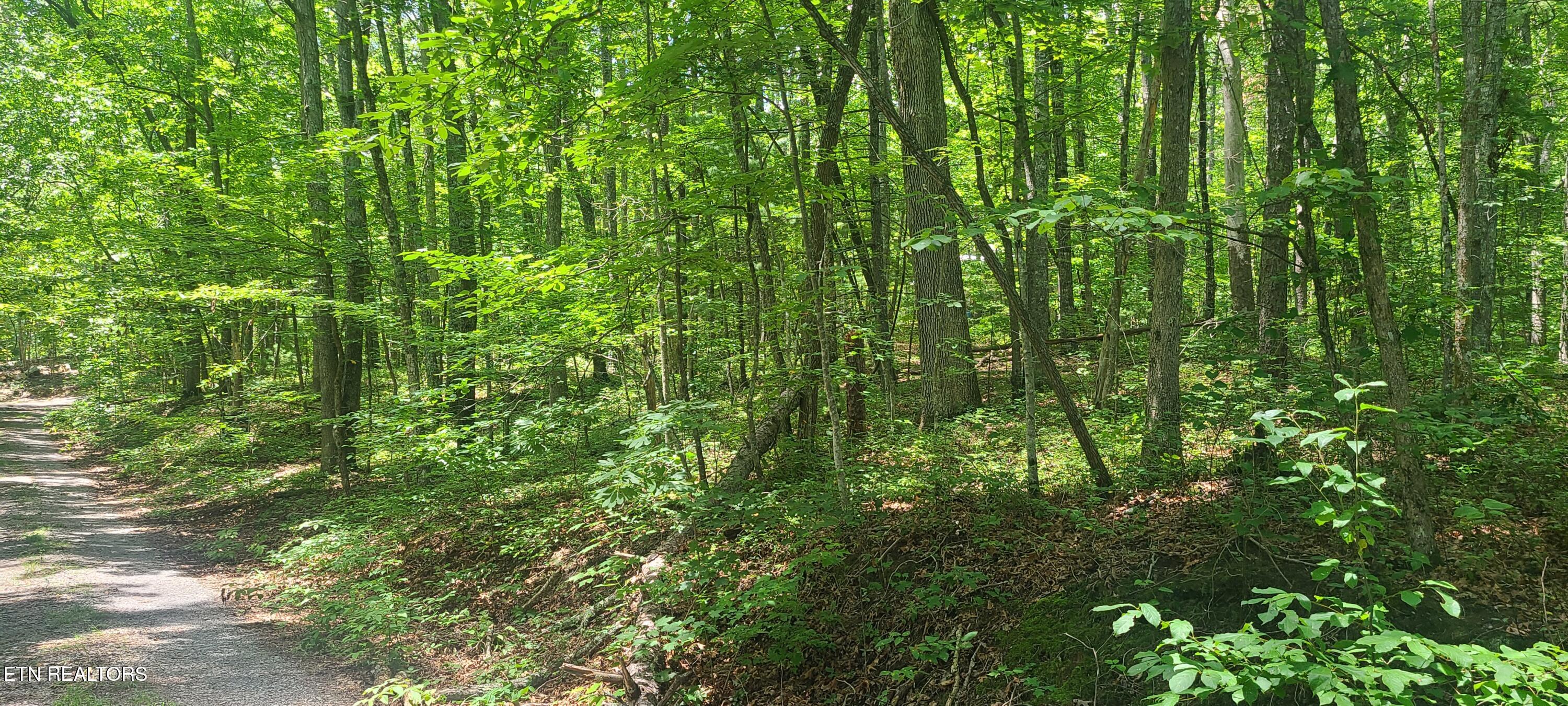 Lot 32,33 Gold Pond Way Tallassee TN 37878