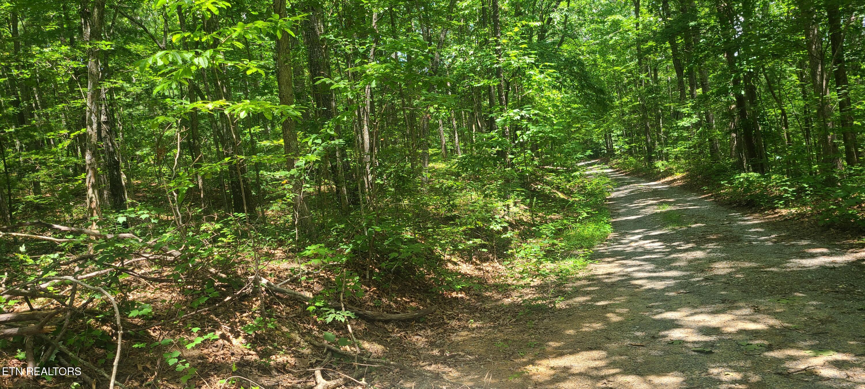 Lot 32,33 Gold Pond Way Tallassee TN 37878