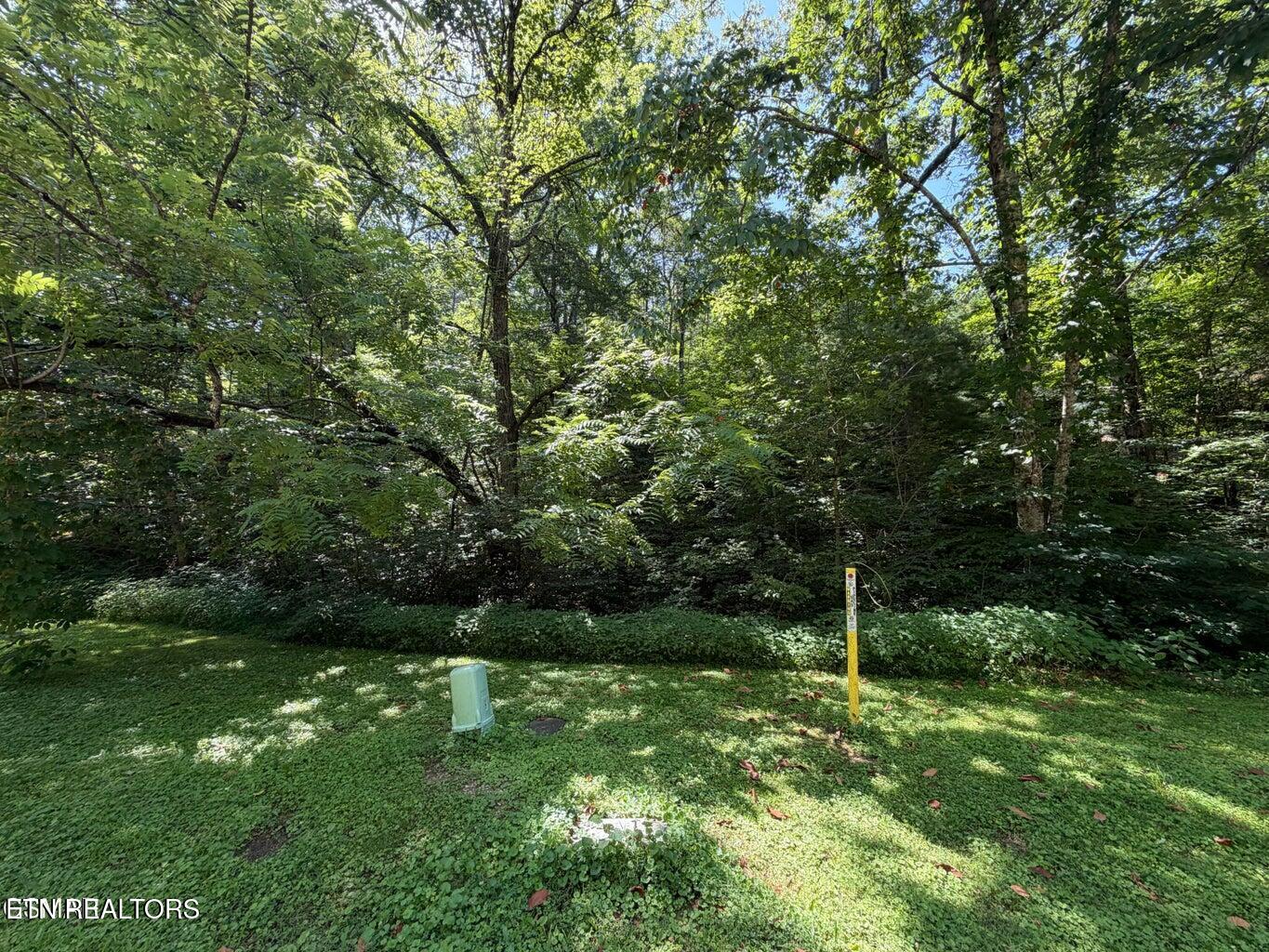 Lot 12 Smoky Mountain Way Sevierville TN 37876