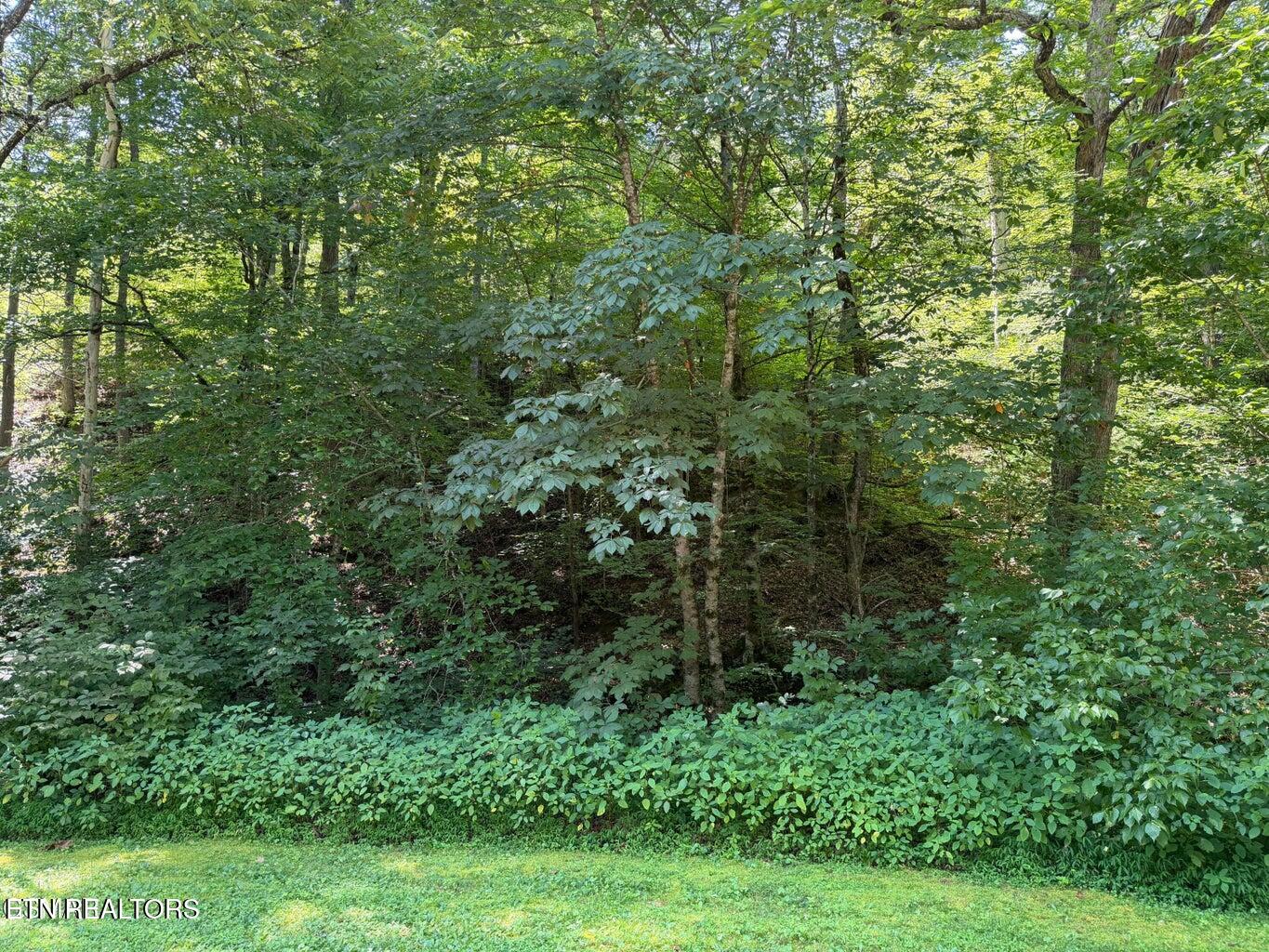 Lot 12 Smoky Mountain Way Sevierville TN 37876