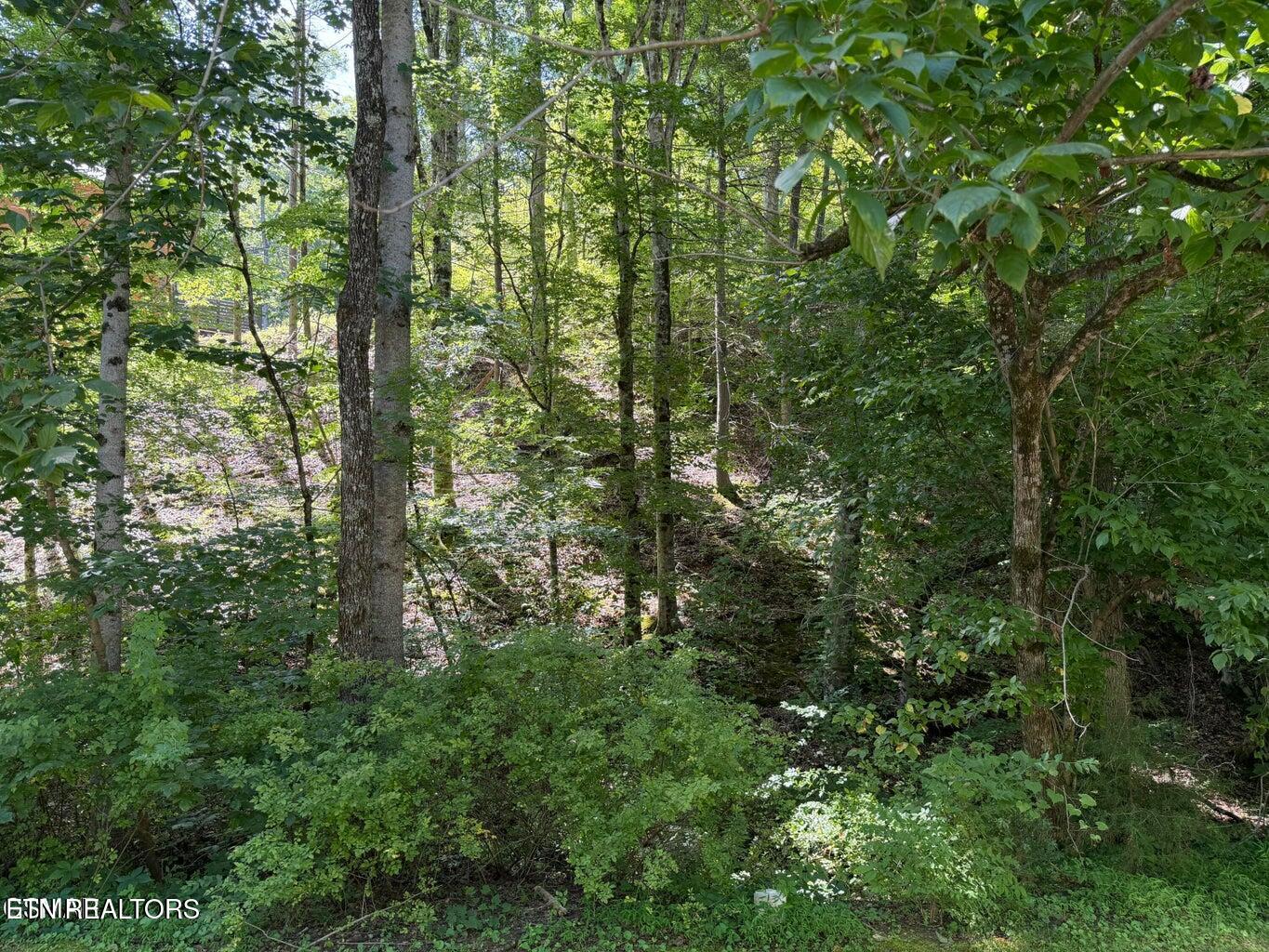 Lot 12 Smoky Mountain Way Sevierville TN 37876