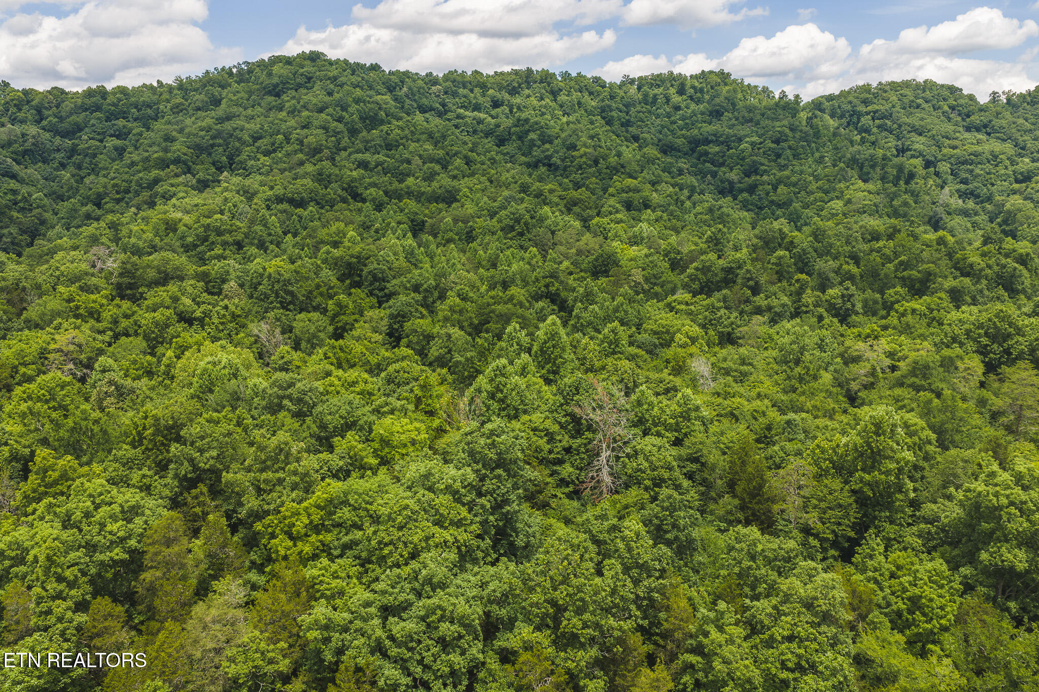 150 Ac Big Springs Road Eidson TN 37731