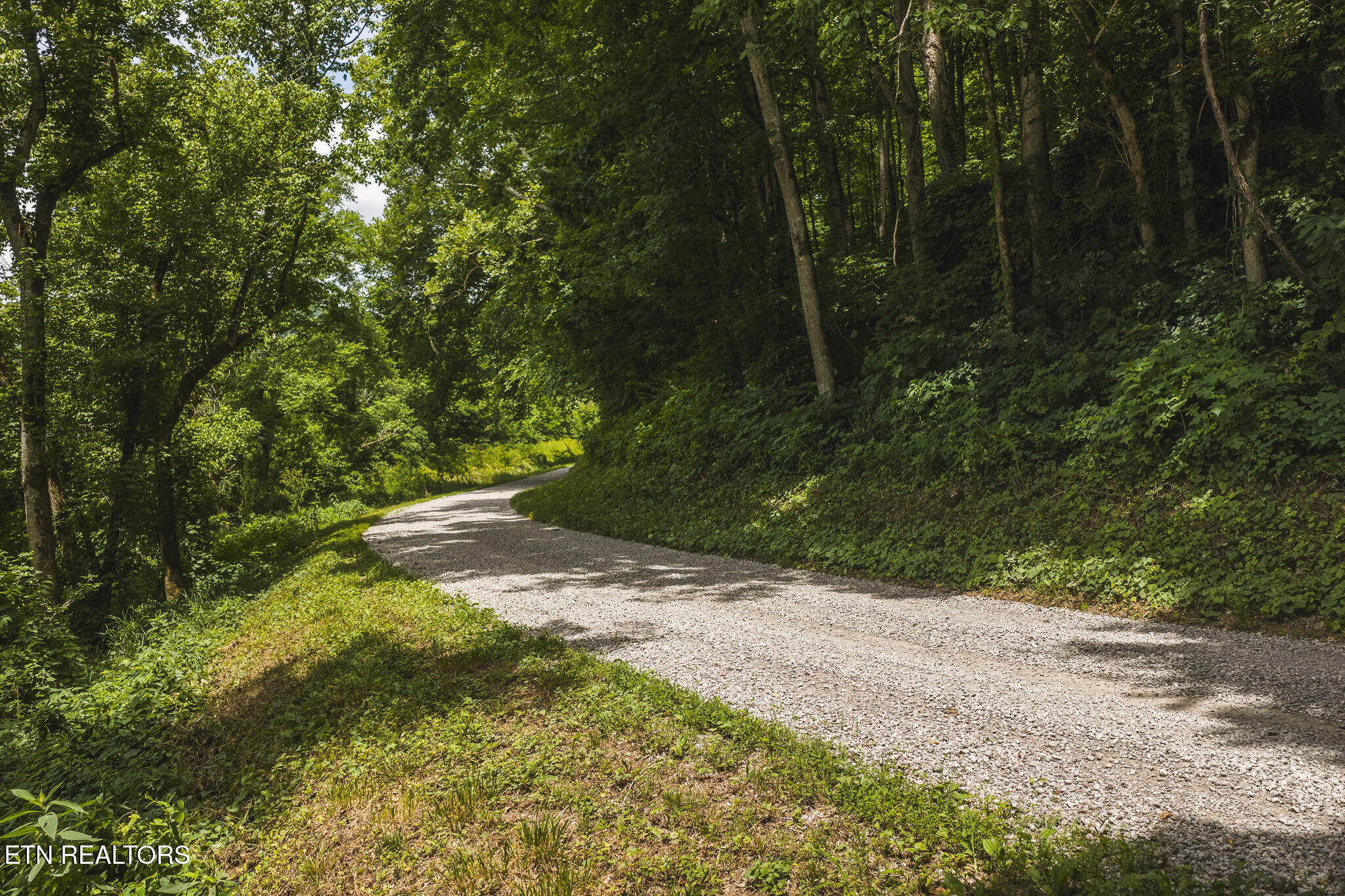 150 Ac Big Springs Road Eidson TN 37731