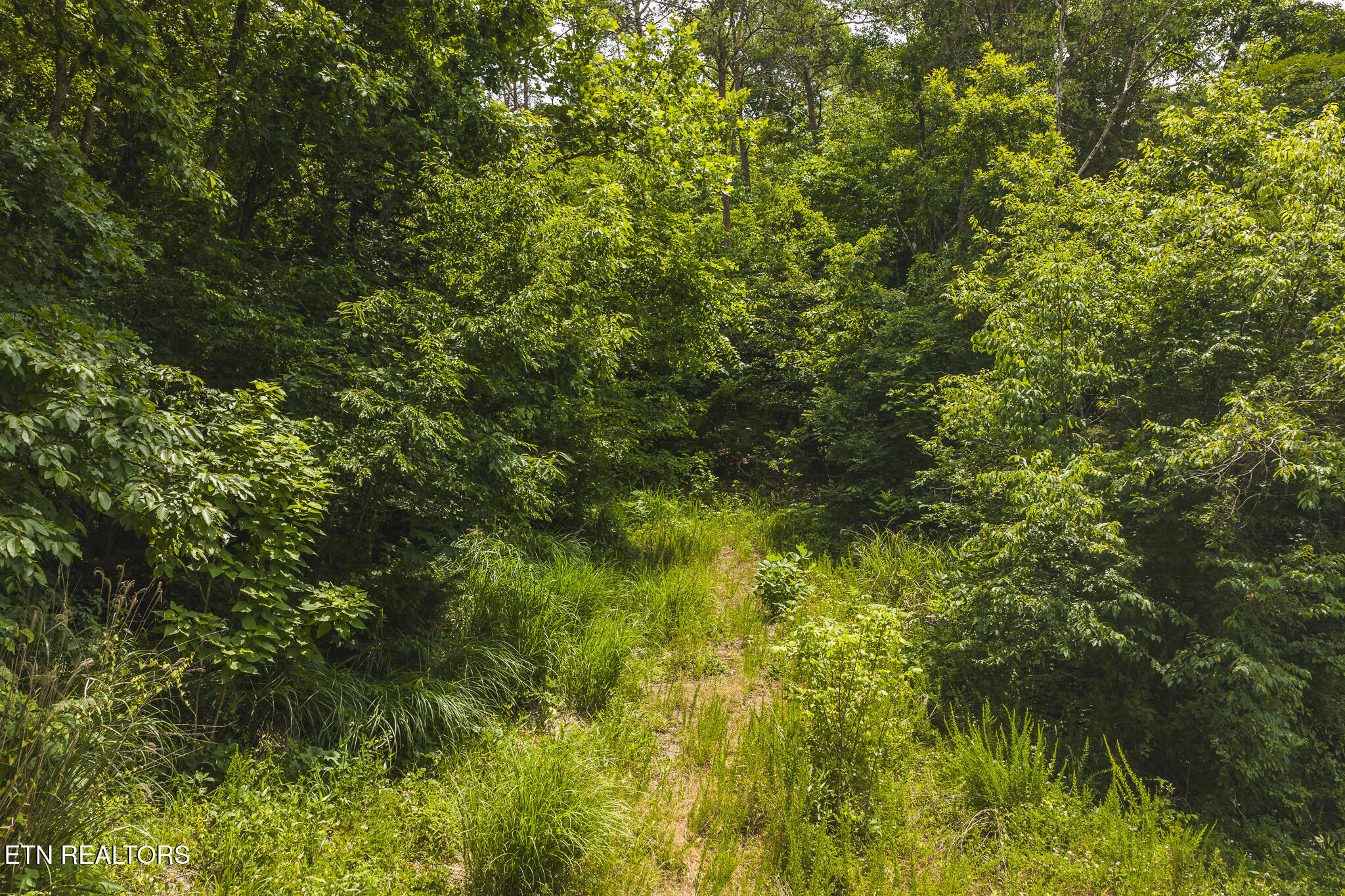150 Ac Big Springs Road Eidson TN 37731