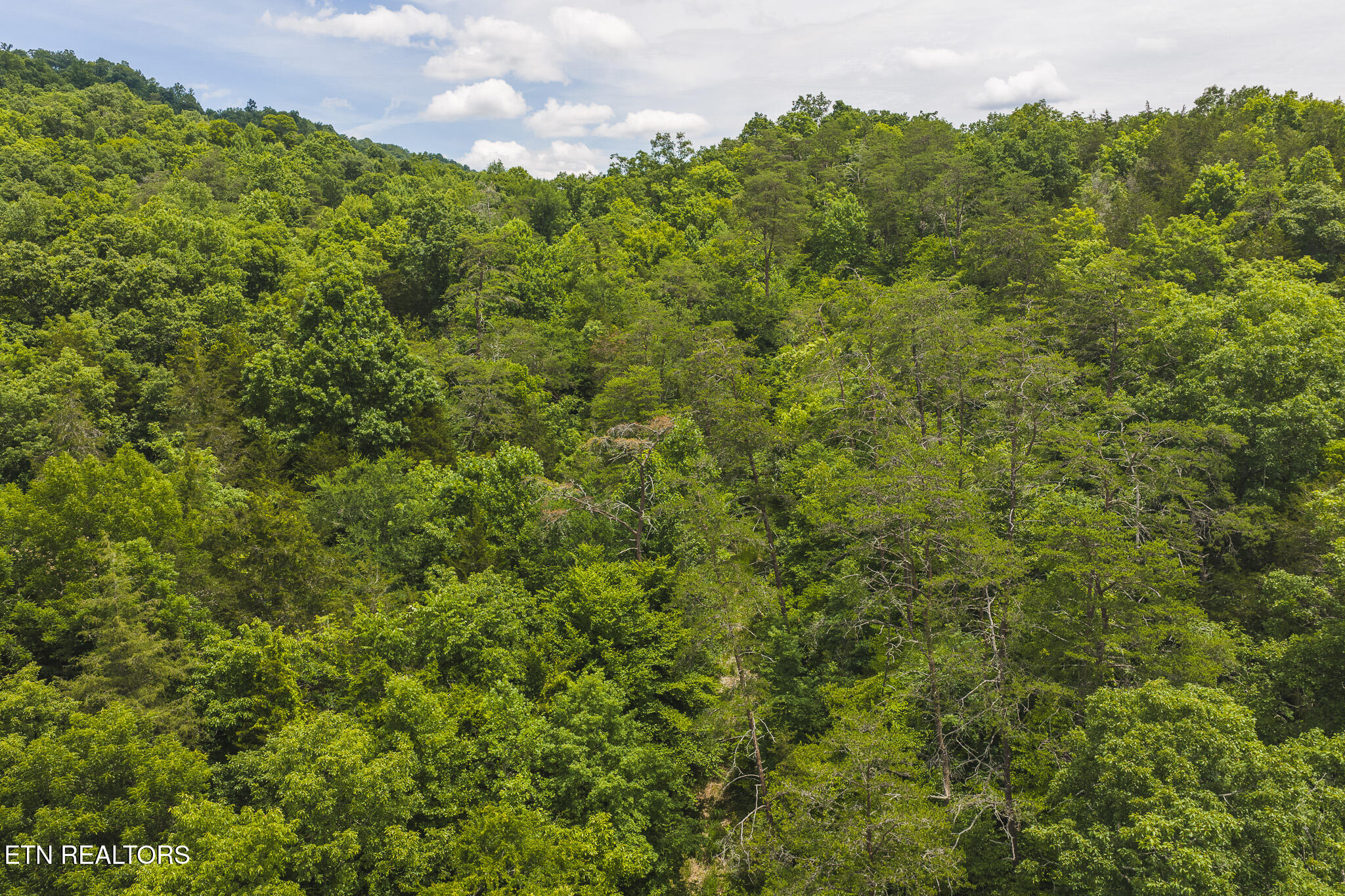 150 Ac Big Springs Road Eidson TN 37731