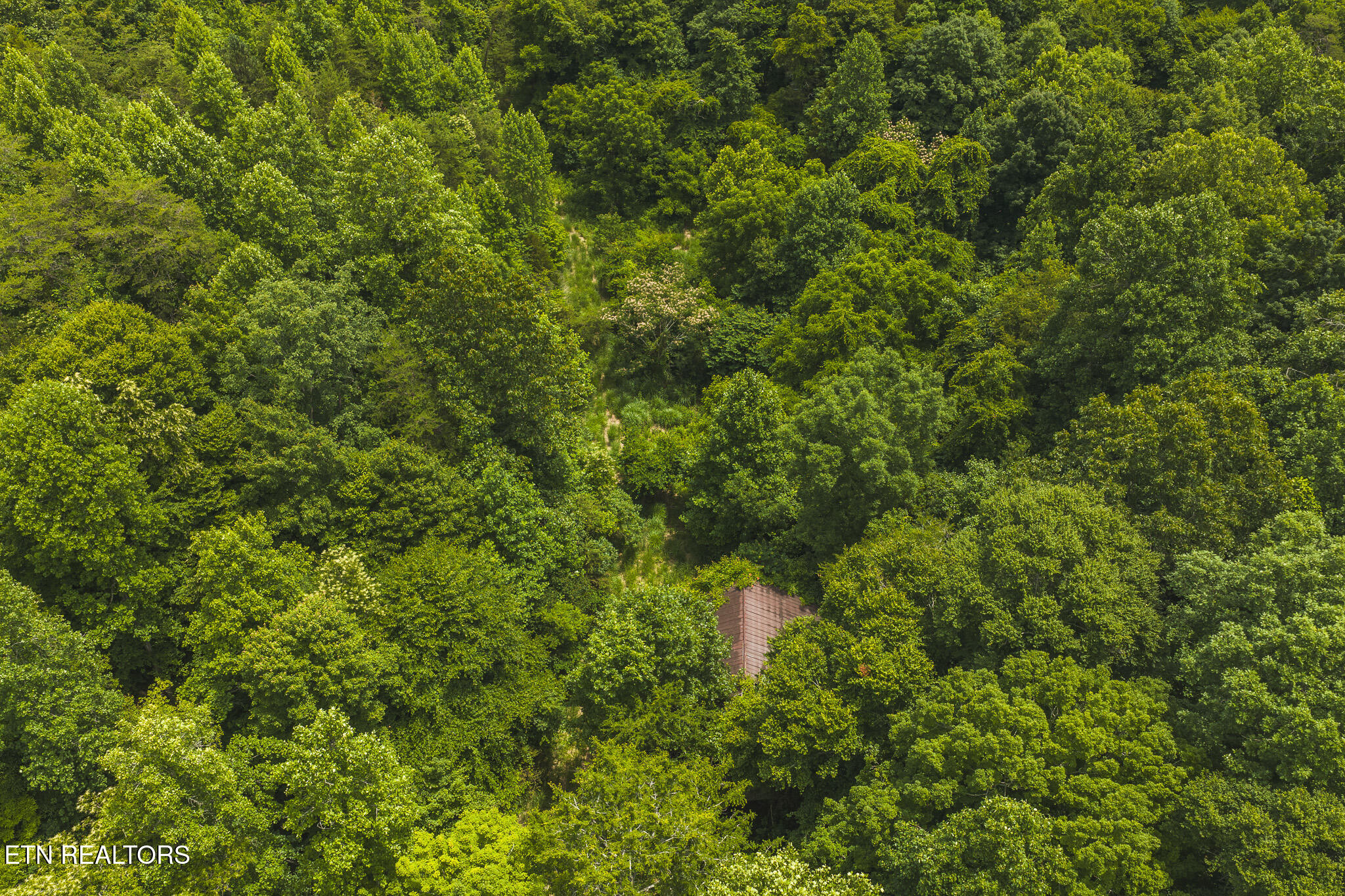 150 Ac Big Springs Road Eidson TN 37731