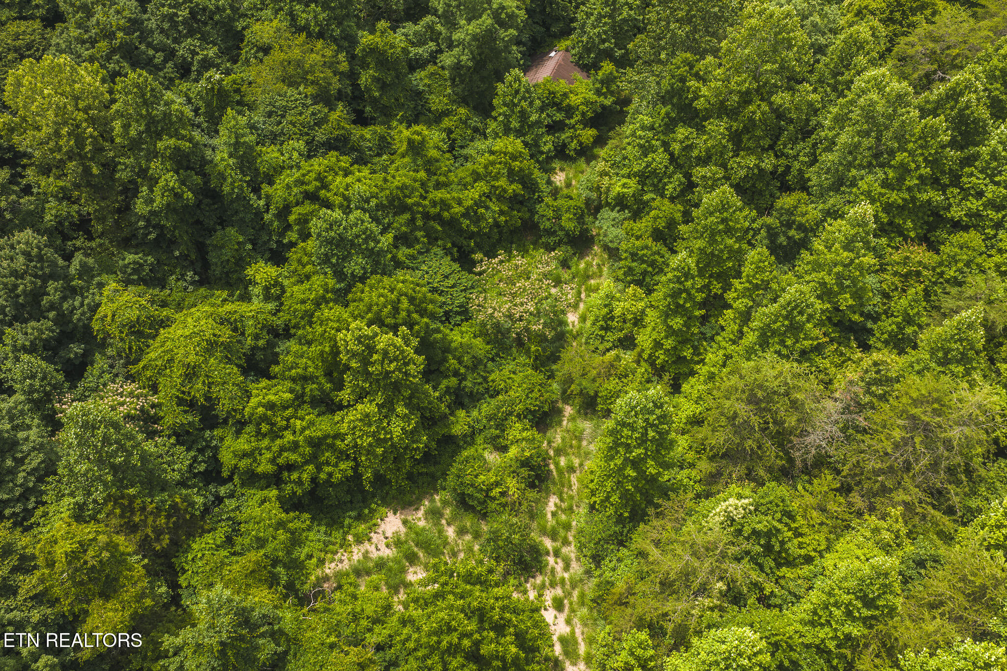 150 Ac Big Springs Road Eidson TN 37731