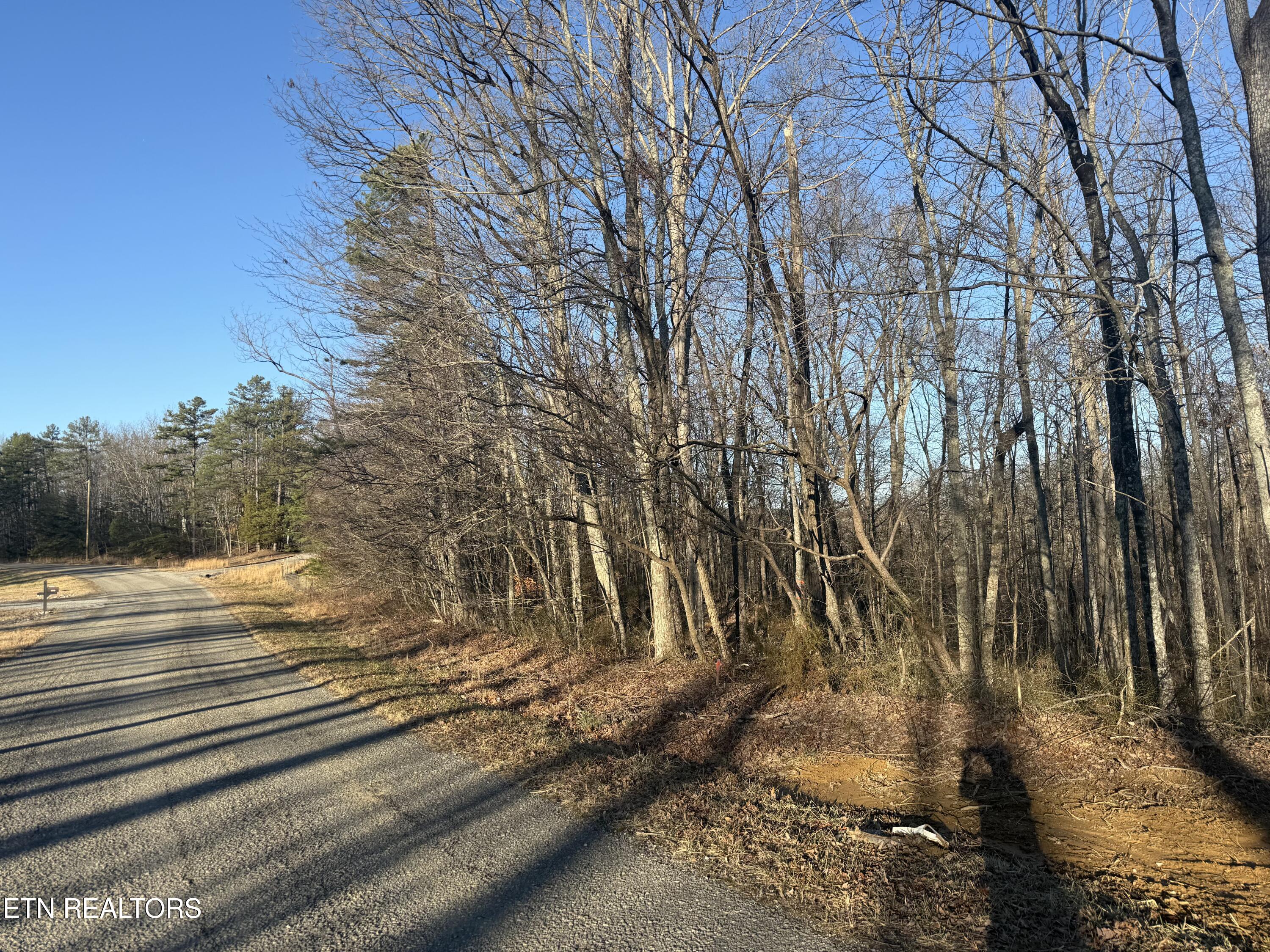 Bear Knob Lane Crawford TN 38554