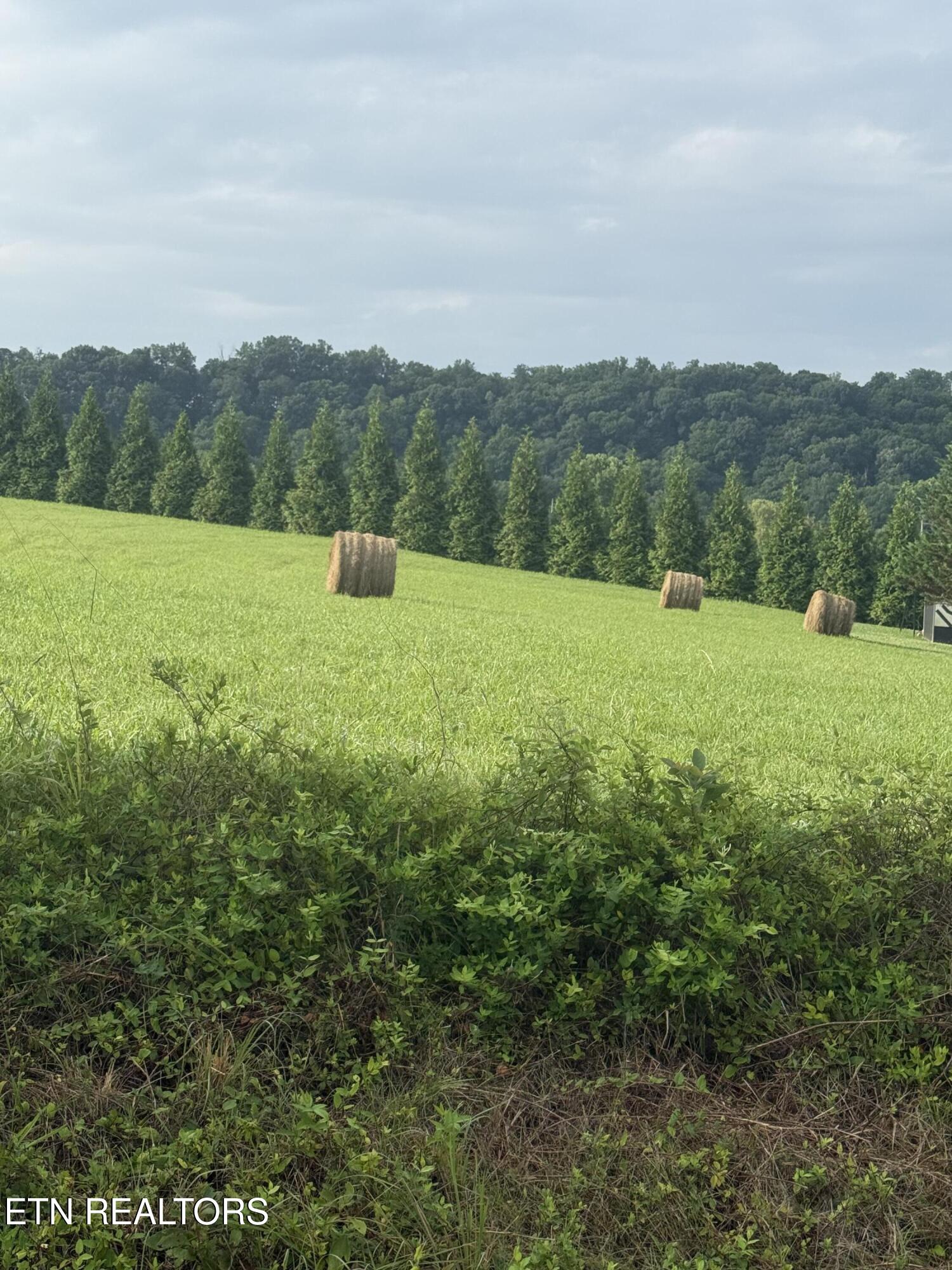 Holston Acres Rutledge TN 37861