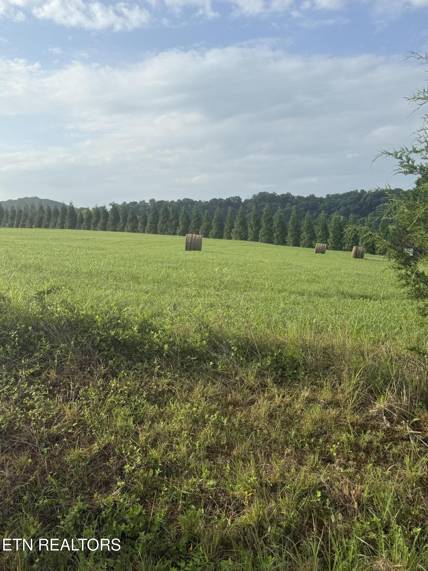 Holston Acres Rutledge TN 37861