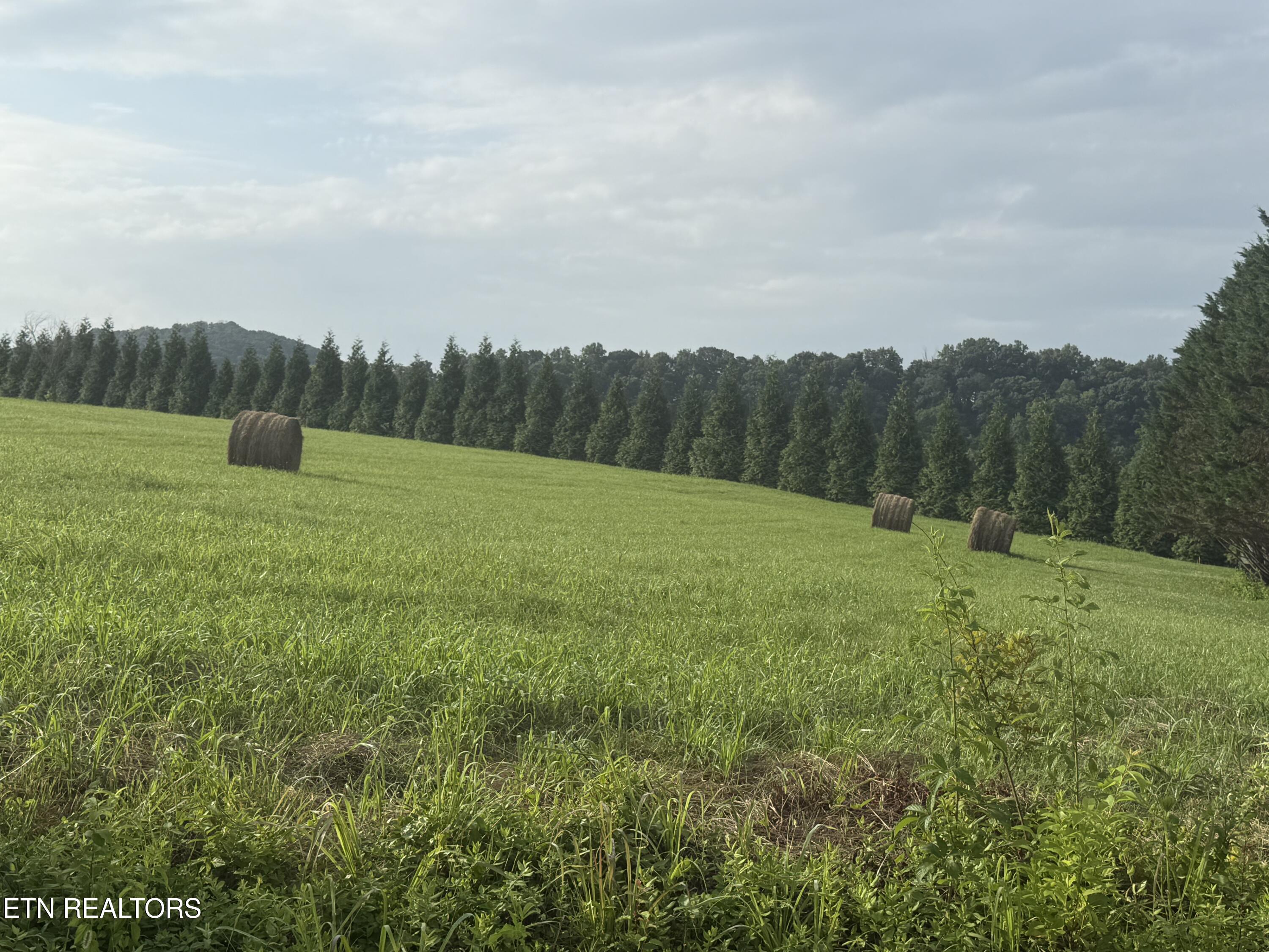 Holston Acres Rutledge TN 37861