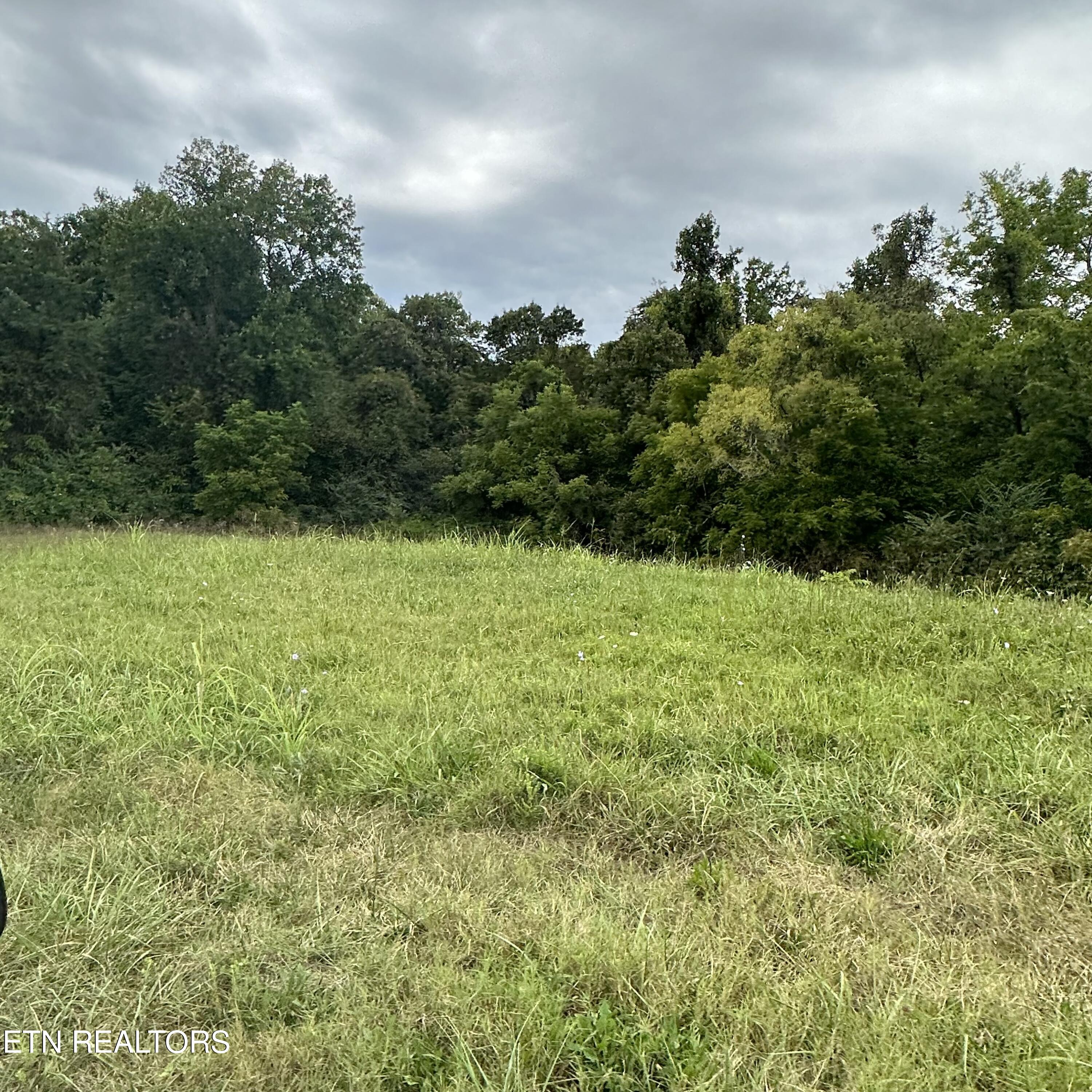 Bob Wright Road Lot 30 Maynardville TN 37807
