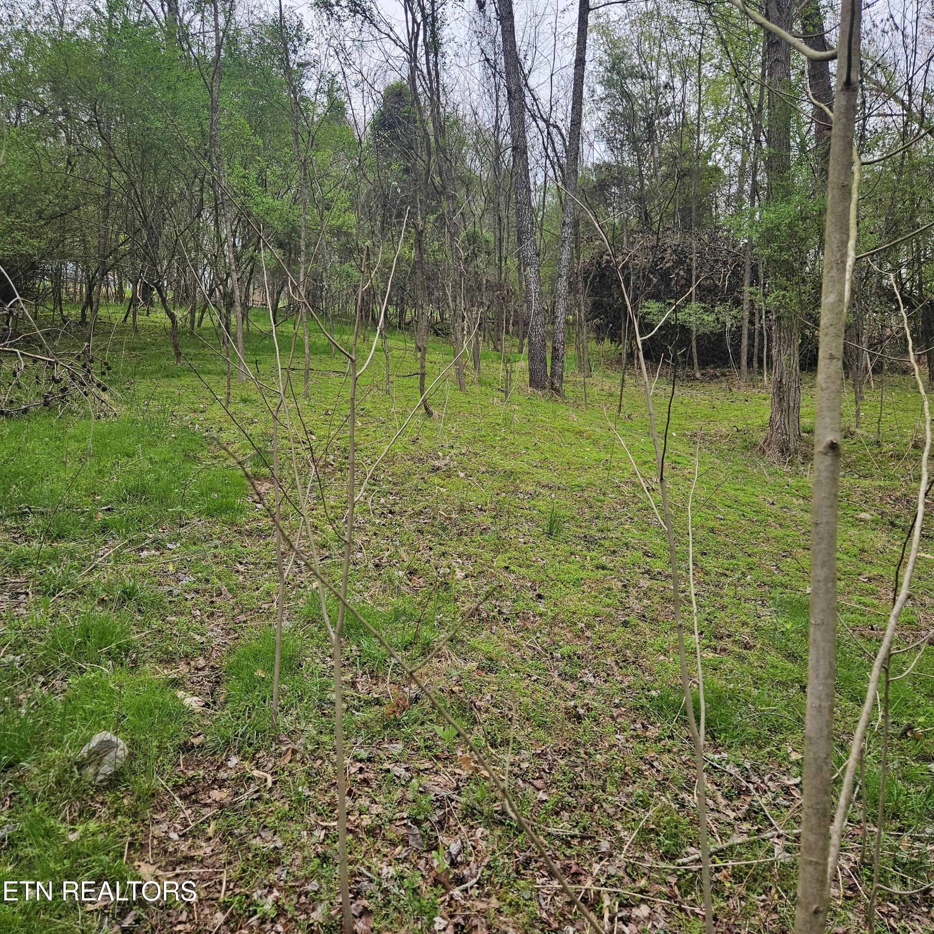 1919 Chelaque Way Mooresburg TN 37811