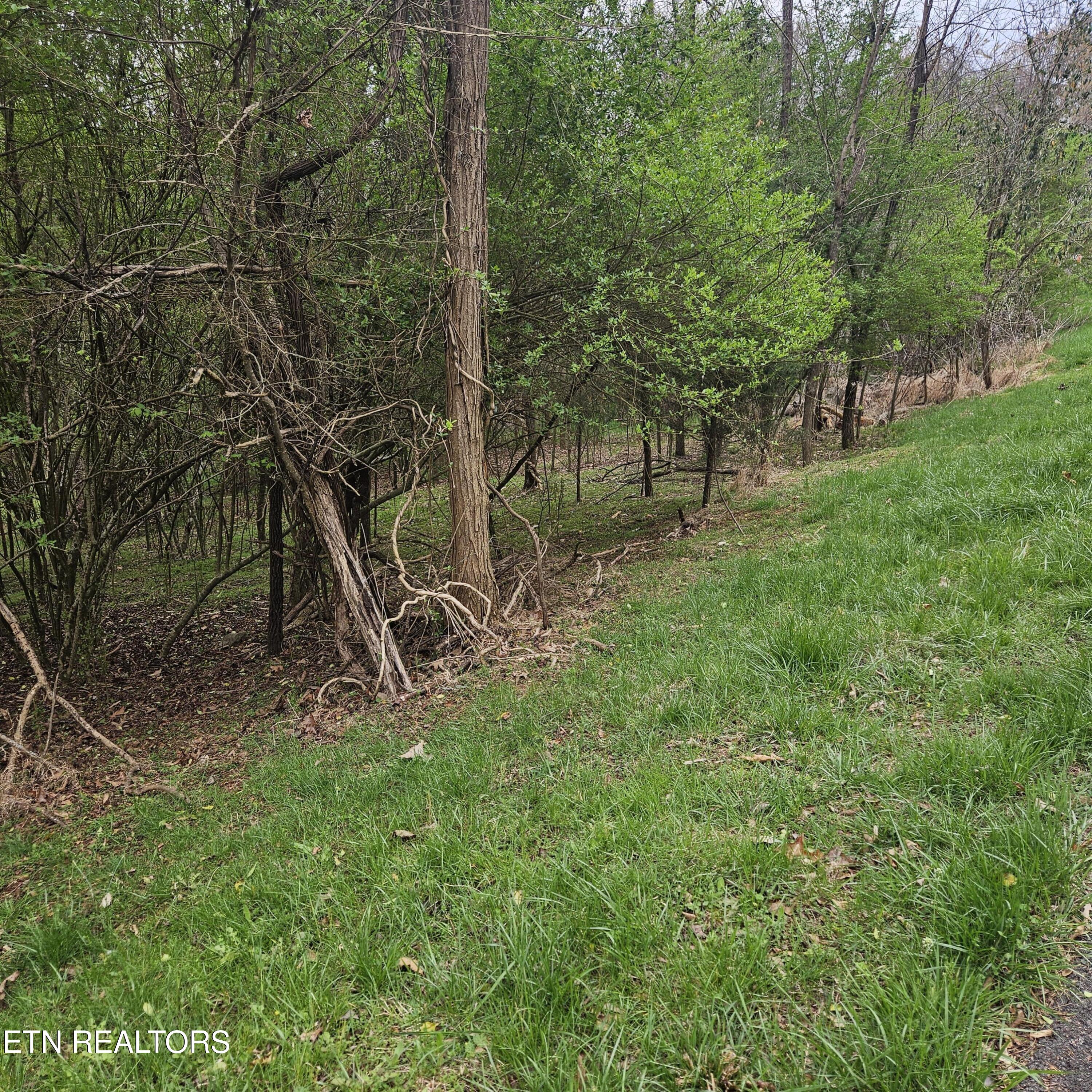 1919 Chelaque Way Mooresburg TN 37811