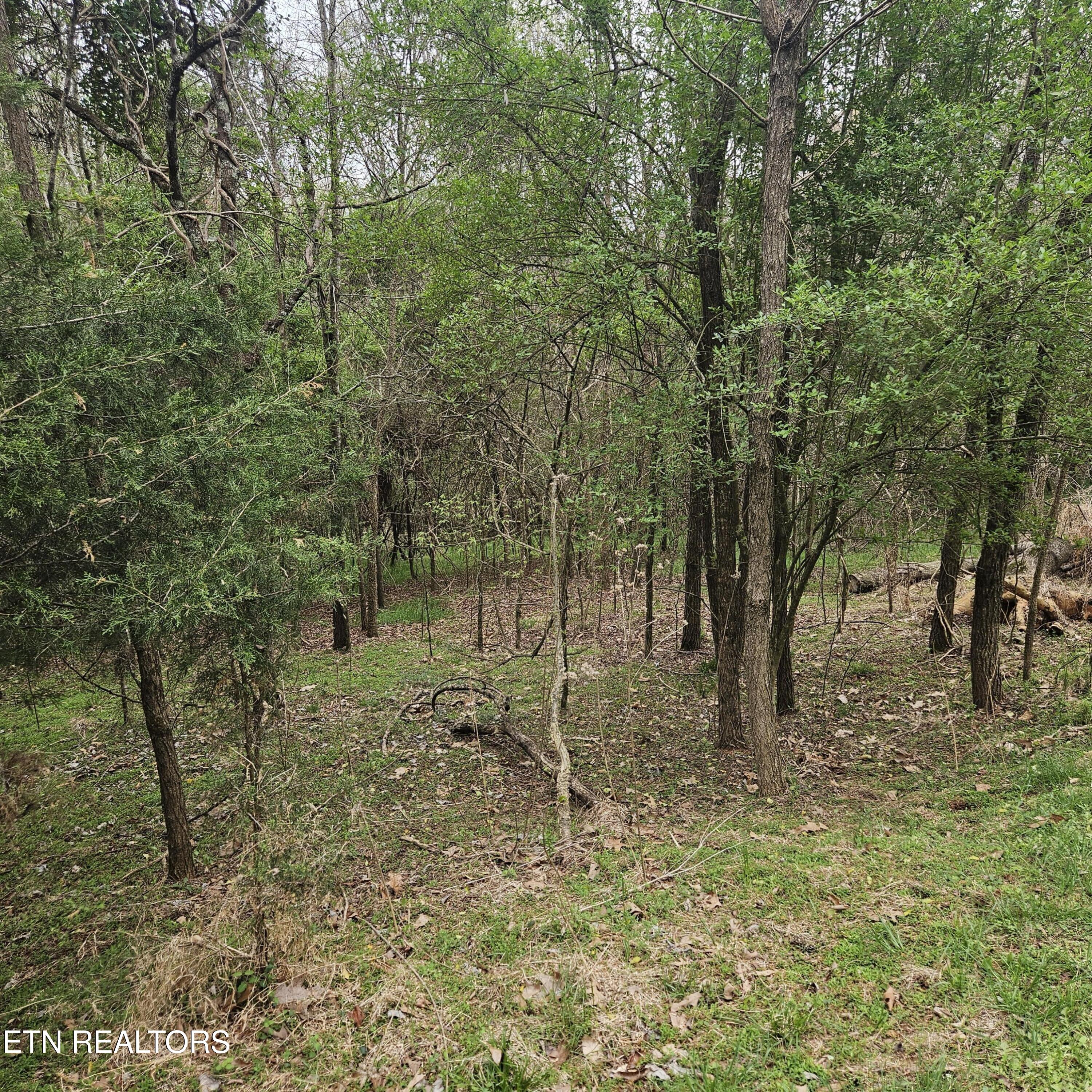 1919 Chelaque Way Mooresburg TN 37811