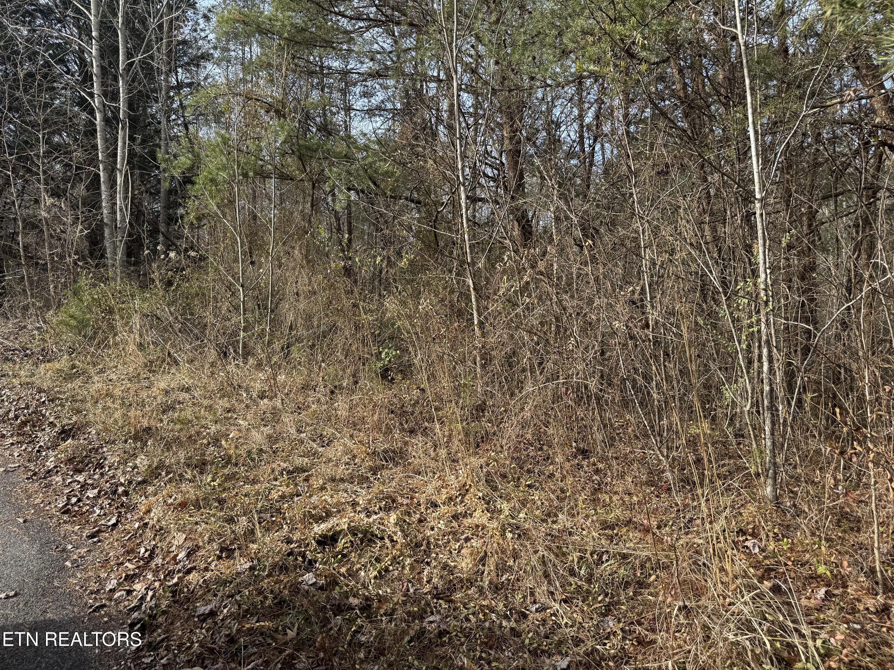 Lot 11 Katelyns Lane Sevierville TN 37876