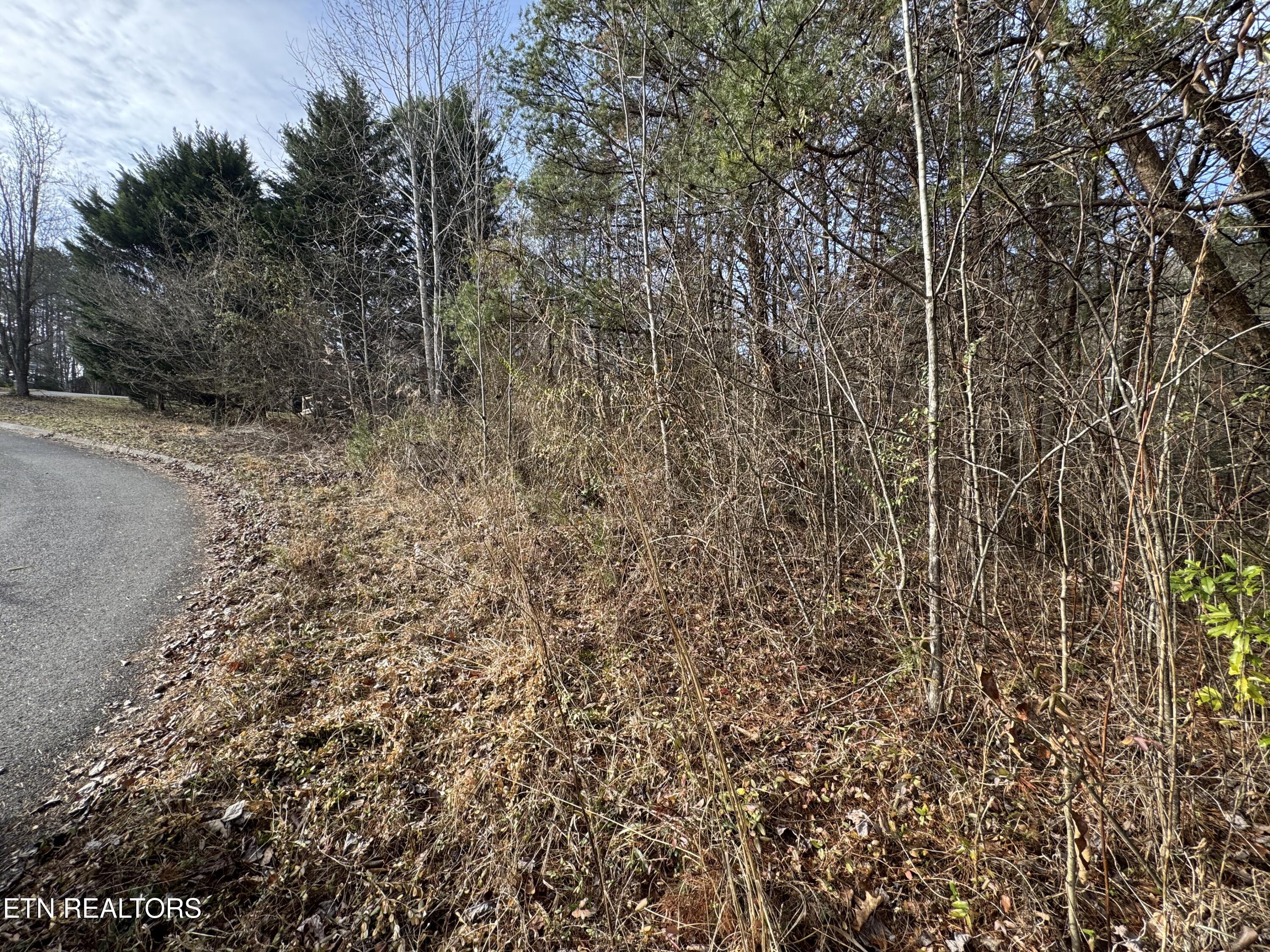 Lot 11 Katelyns Lane Sevierville TN 37876