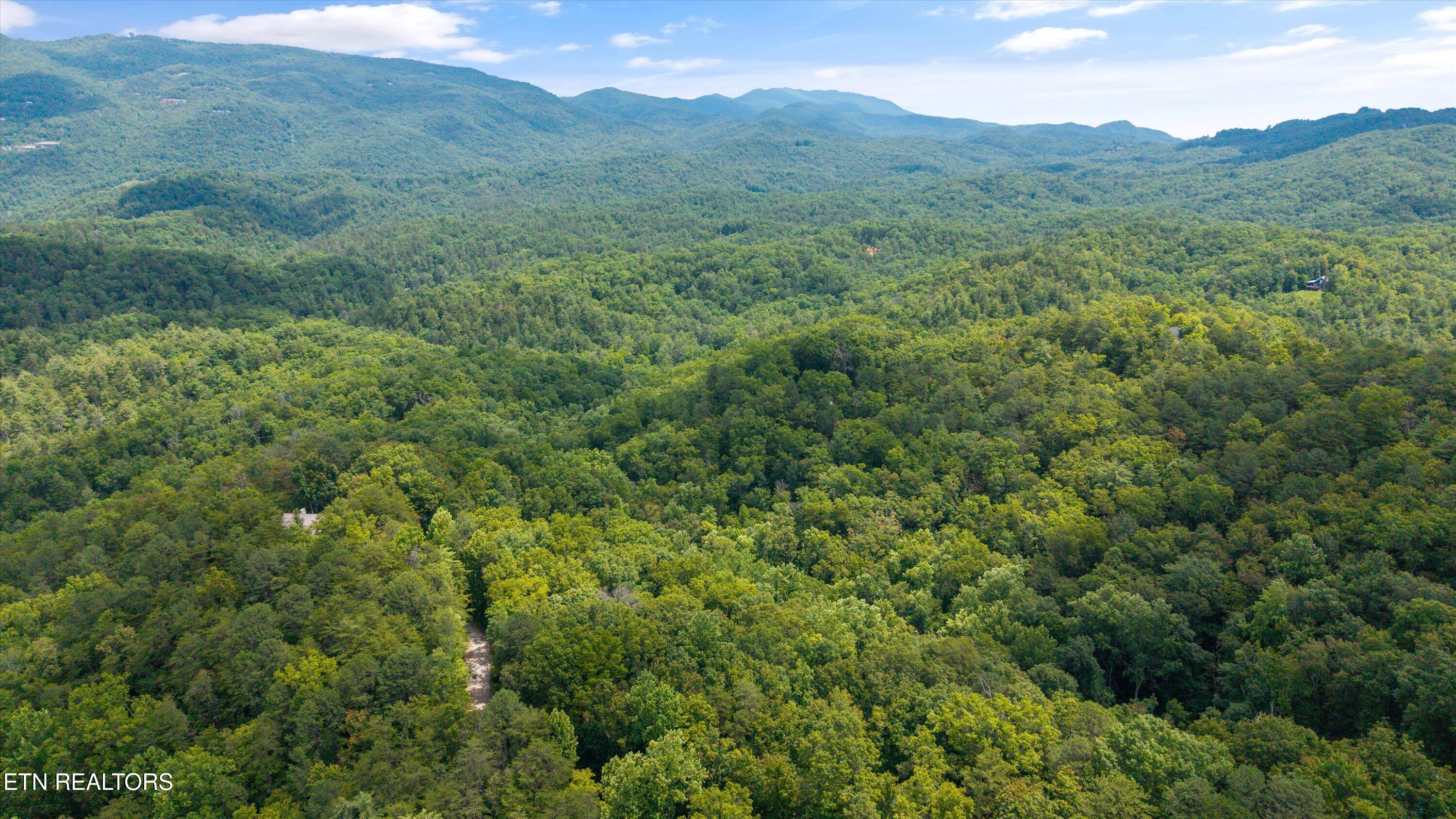 1618 Walnut Flats Road Walland TN 37886