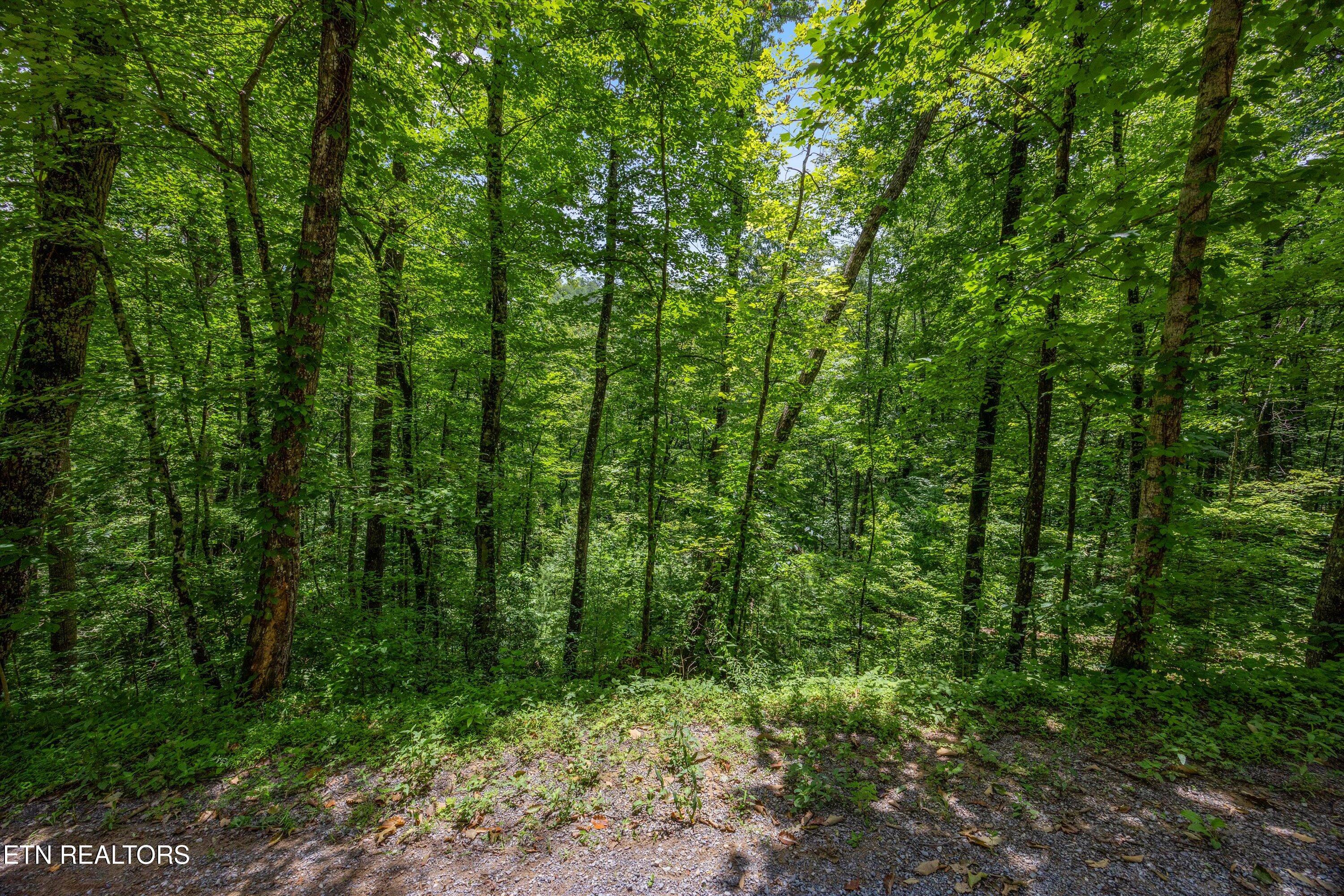 1618 Walnut Flats Road Walland TN 37886