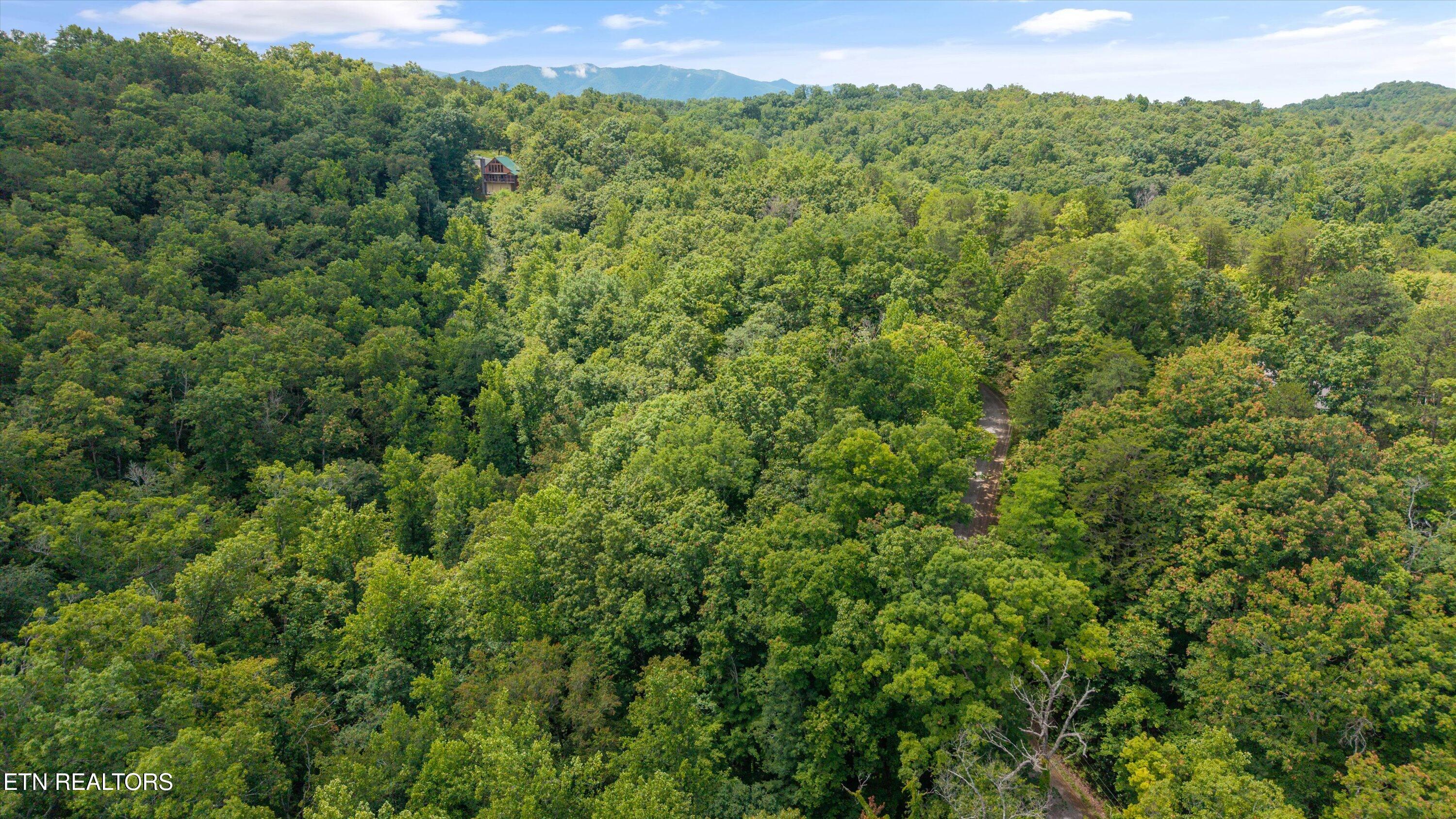 1618 Walnut Flats Road Walland TN 37886