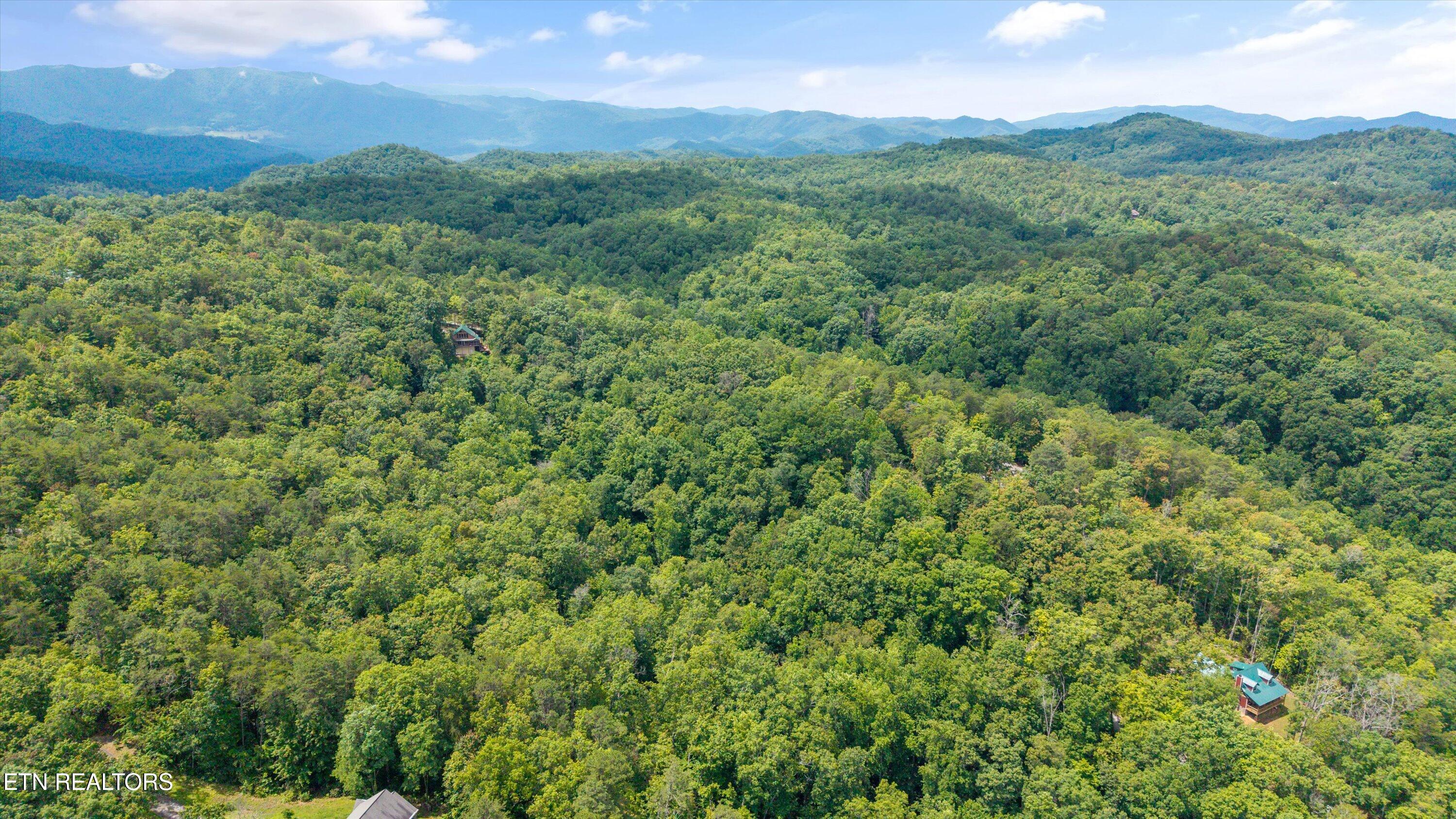 1618 Walnut Flats Road Walland TN 37886