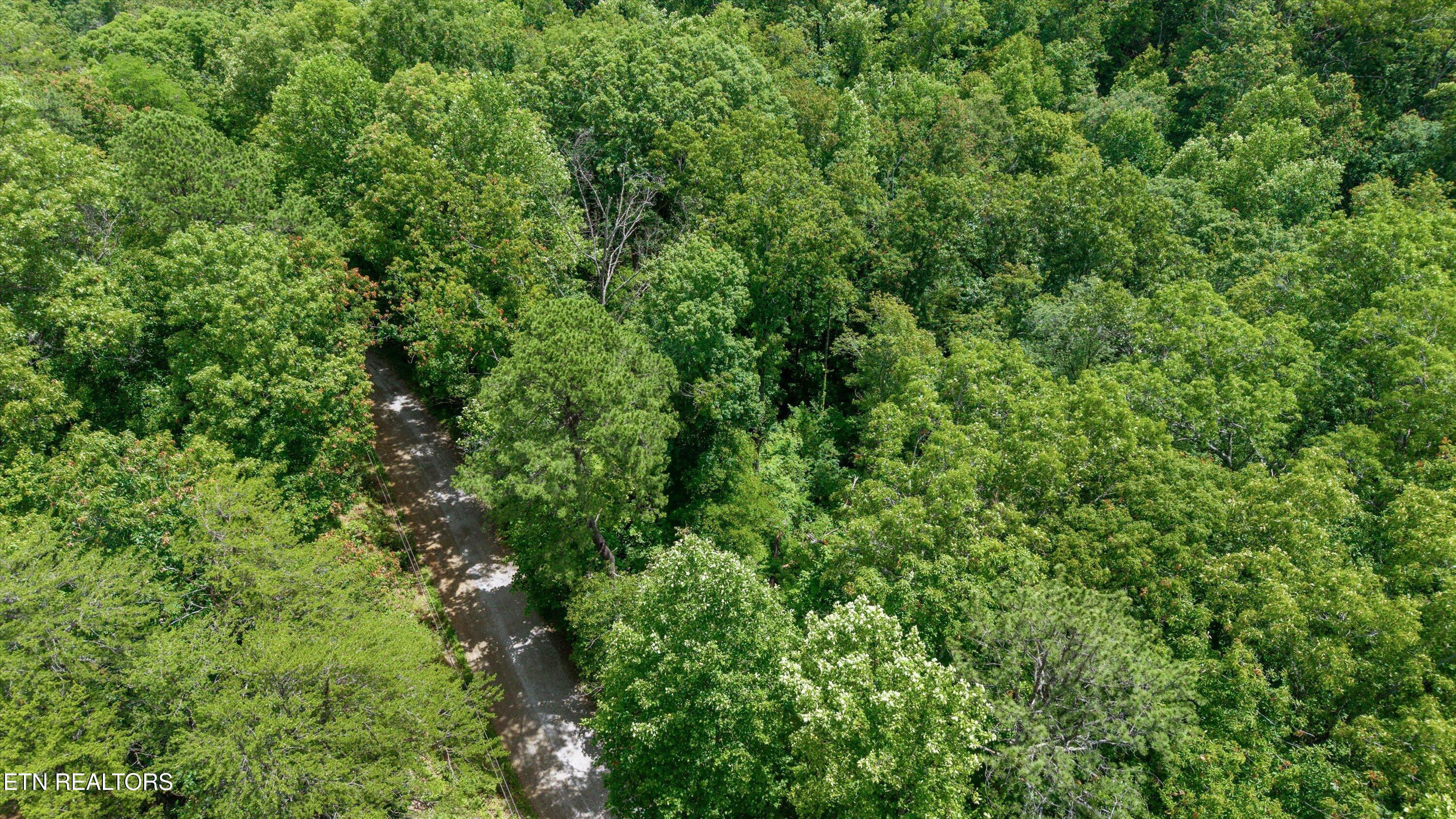 1618 Walnut Flats Road Walland TN 37886