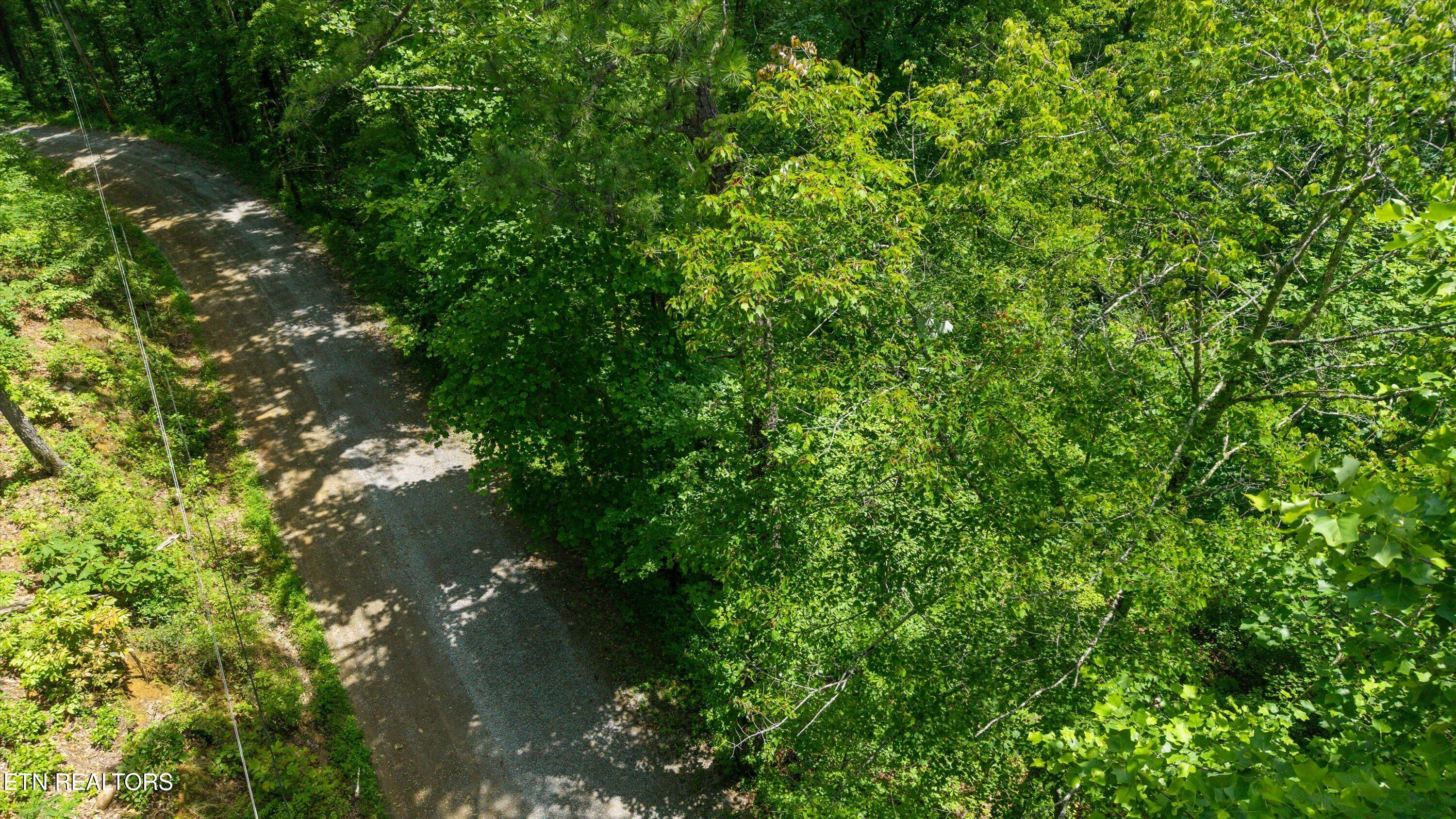 1618 Walnut Flats Road Walland TN 37886