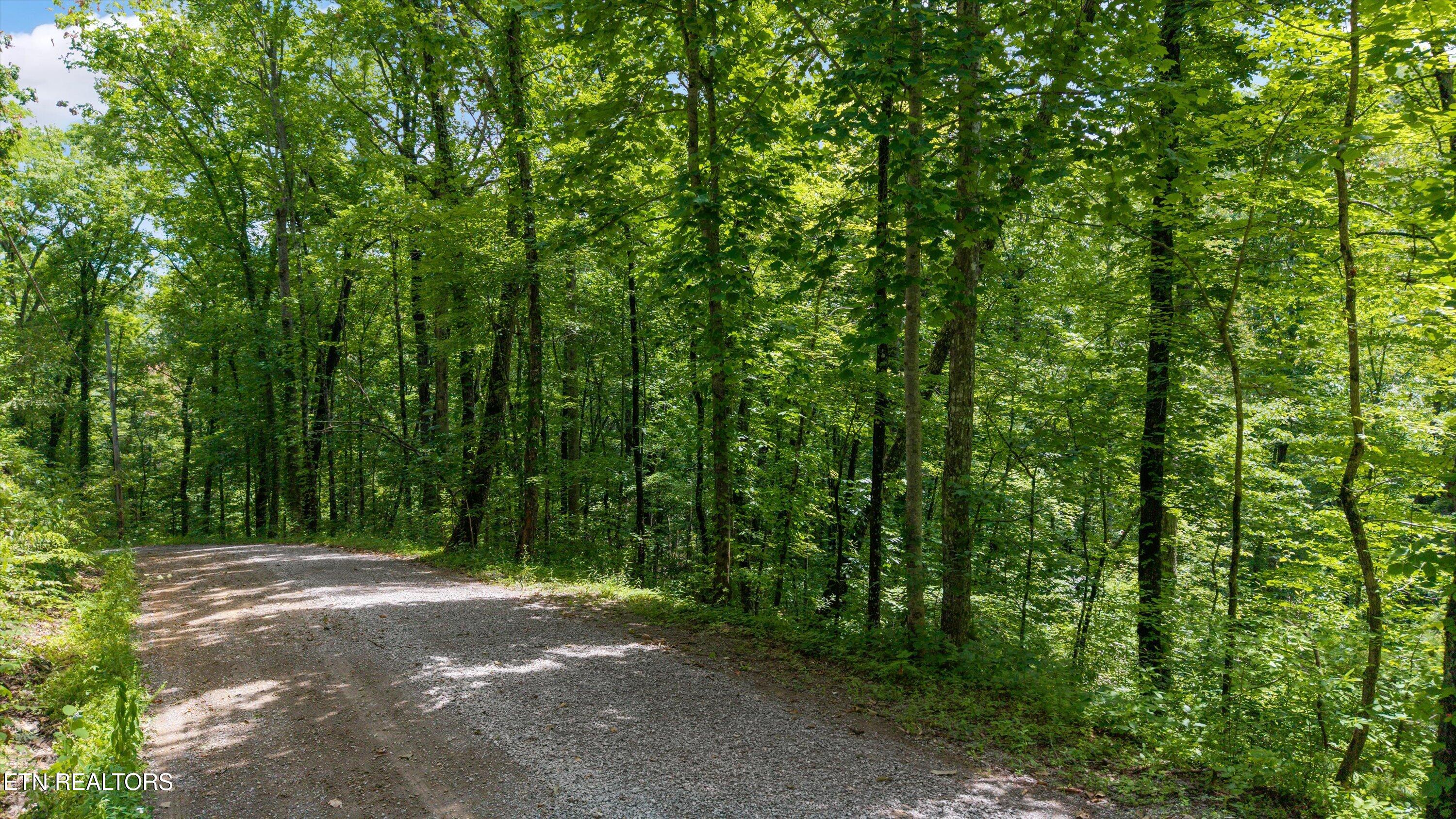 1618 Walnut Flats Road Walland TN 37886