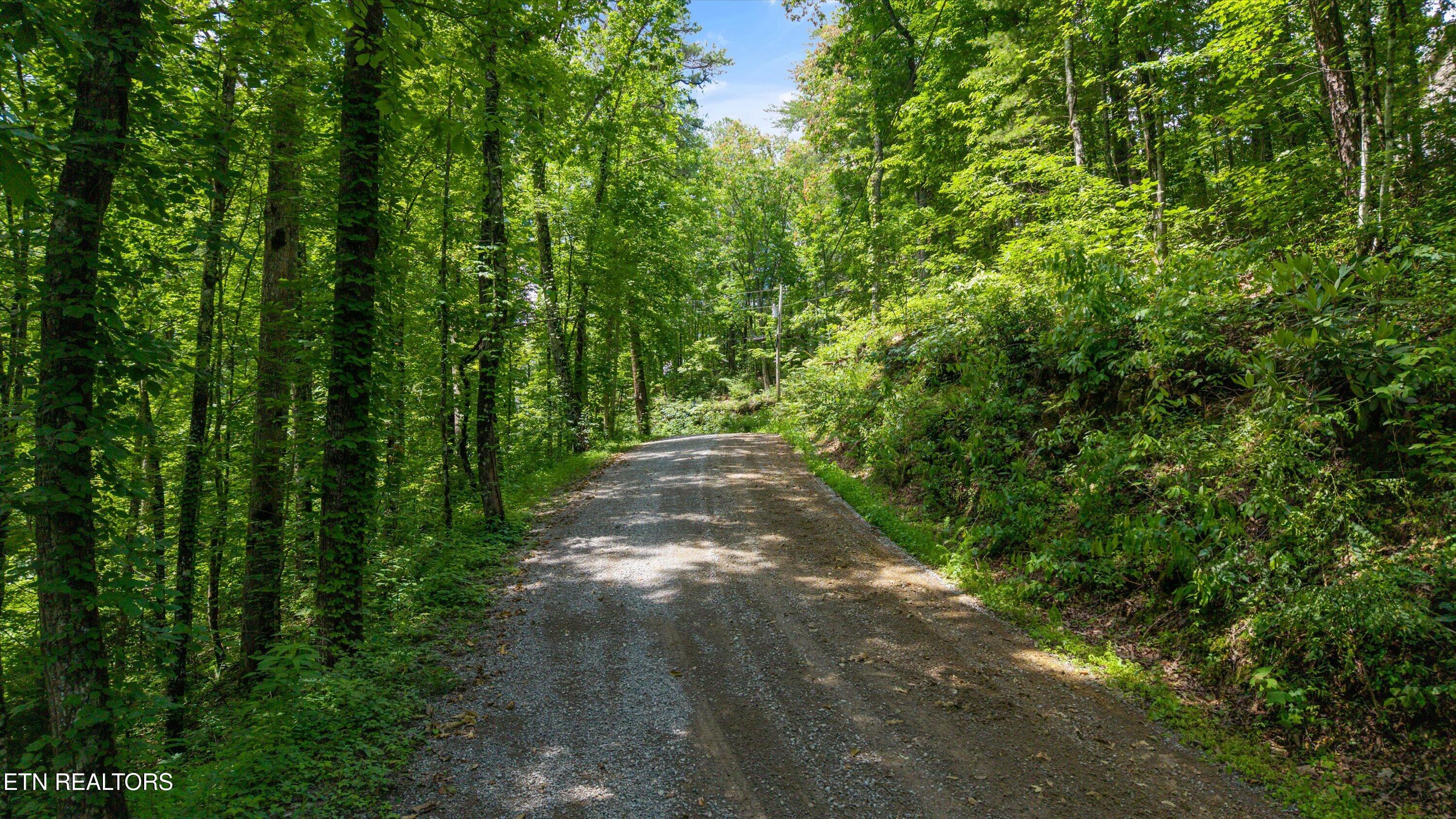 1618 Walnut Flats Road Walland TN 37886