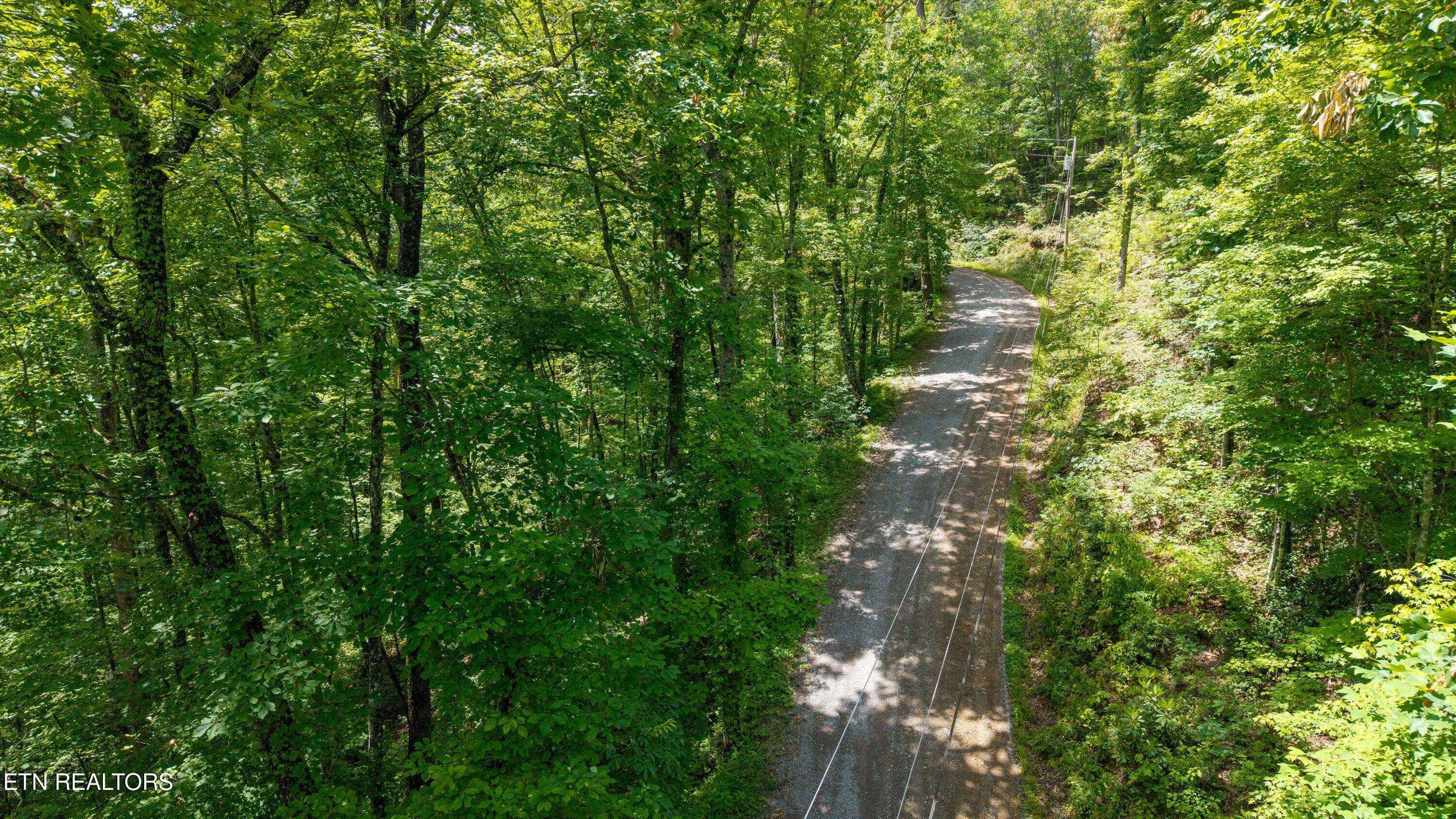 1618 Walnut Flats Road Walland TN 37886