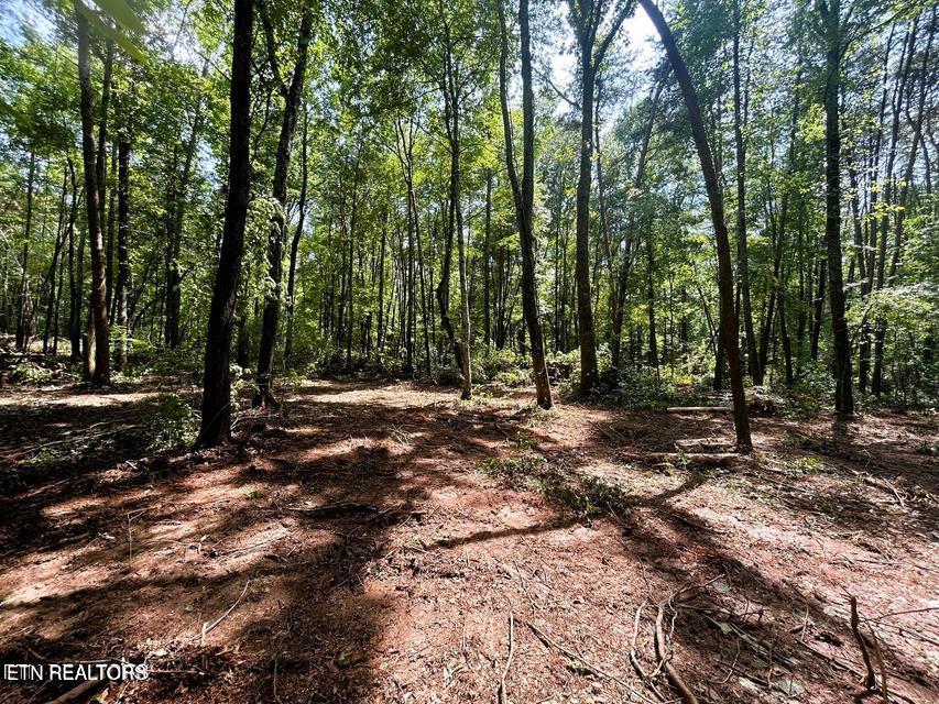 Tract 5 Pleasant Hill Road Ten Mile TN 37880