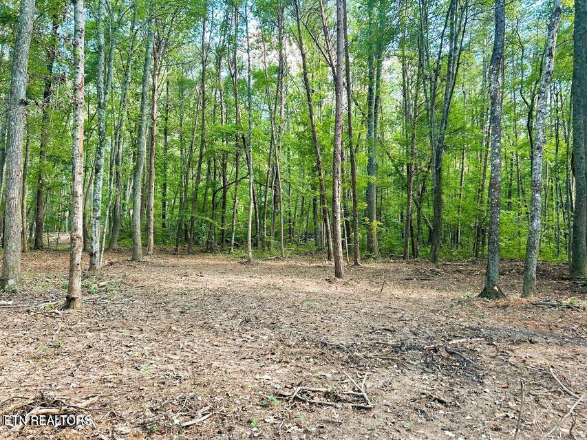 Tract 5 Pleasant Hill Road Ten Mile TN 37880