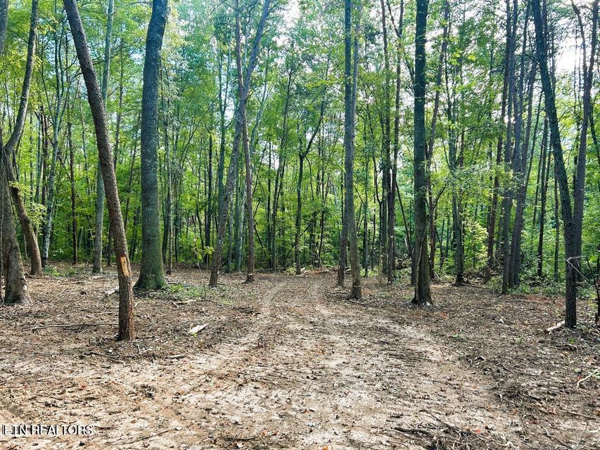 Tract 5 Pleasant Hill Road Ten Mile TN 37880