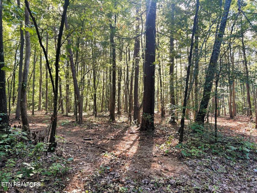 Tract 5 Pleasant Hill Road Ten Mile TN 37880