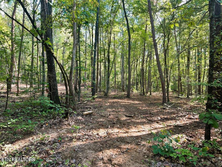 Tract 5 Pleasant Hill Road Ten Mile TN 37880