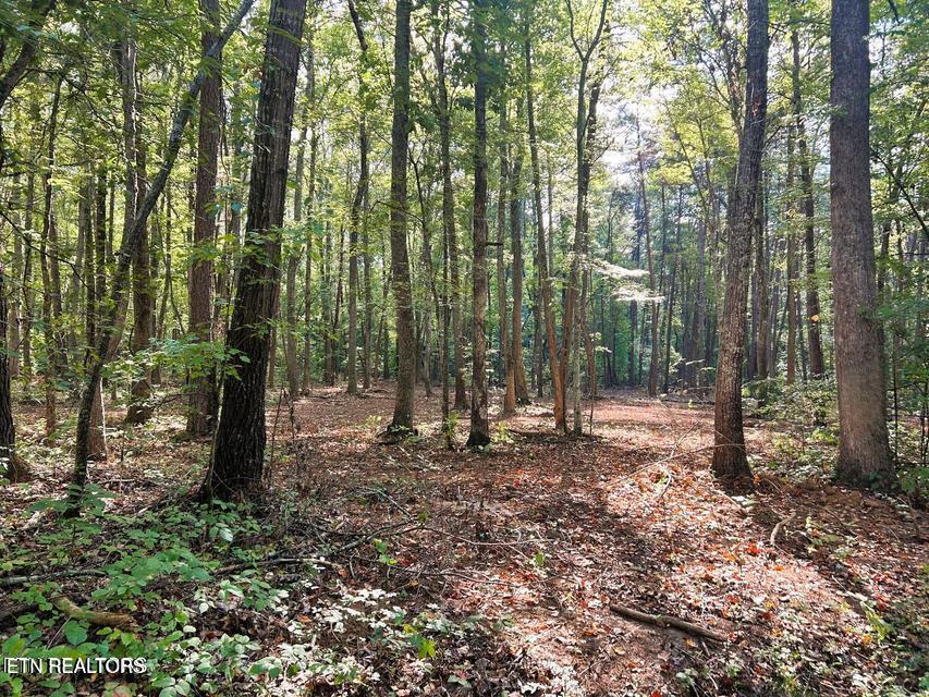 Tract 5 Pleasant Hill Road Ten Mile TN 37880