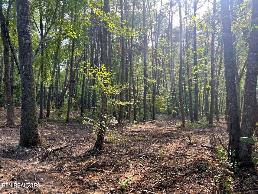 Tract 5 Pleasant Hill Road Ten Mile TN 37880