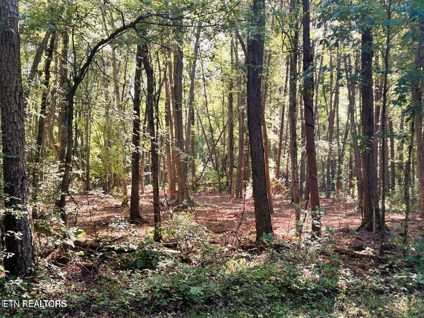 Tract 5 Pleasant Hill Road Ten Mile TN 37880