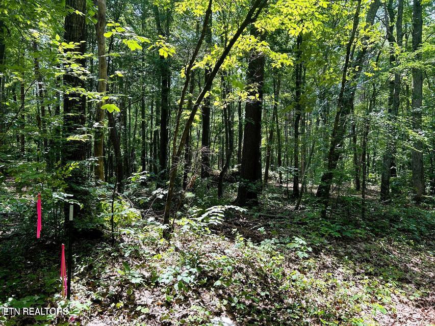 Tract 5 Pleasant Hill Road Ten Mile TN 37880