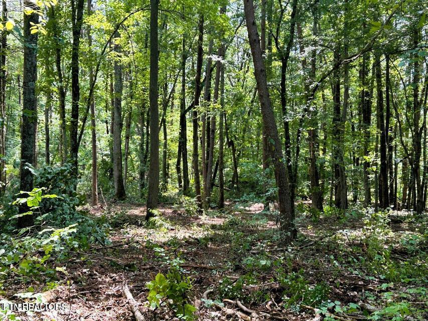 Tract 5 Pleasant Hill Road Ten Mile TN 37880