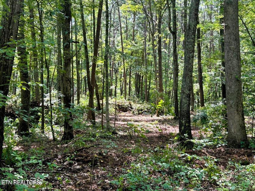 Tract 5 Pleasant Hill Road Ten Mile TN 37880