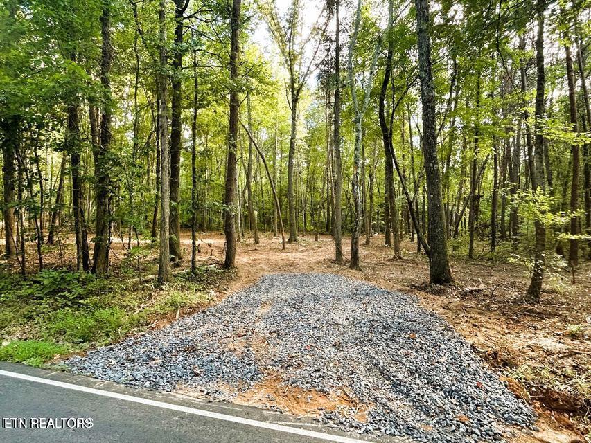 Tract 5 Pleasant Hill Road Ten Mile TN 37880