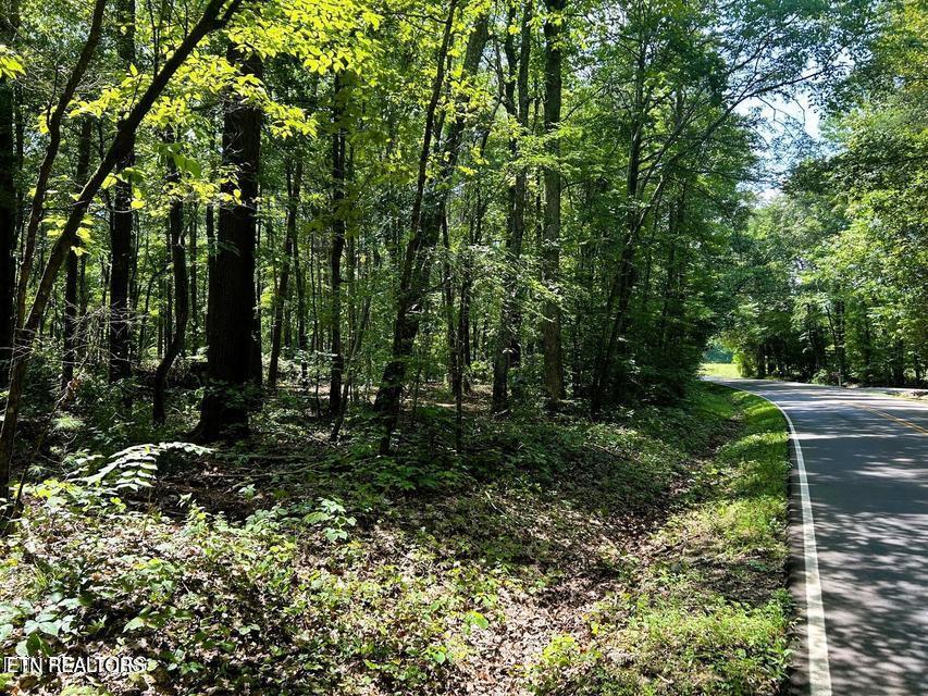Tract 5 Pleasant Hill Road Ten Mile TN 37880