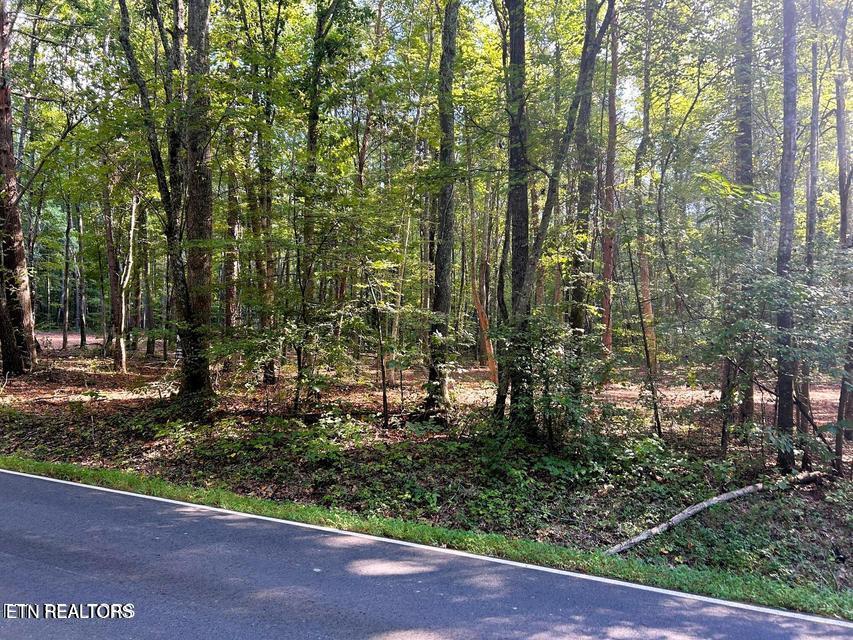 Tract 5 Pleasant Hill Road Ten Mile TN 37880