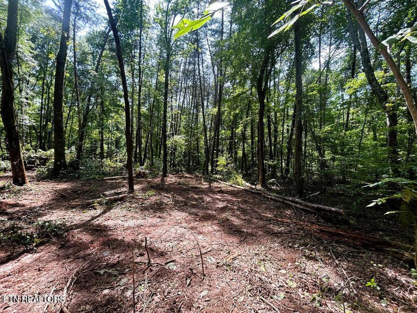 Tract 5 Pleasant Hill Road Ten Mile TN 37880