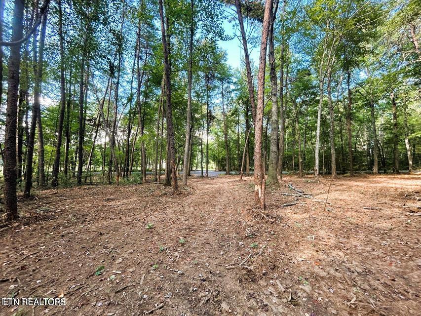 Tract 5 Pleasant Hill Road Ten Mile TN 37880