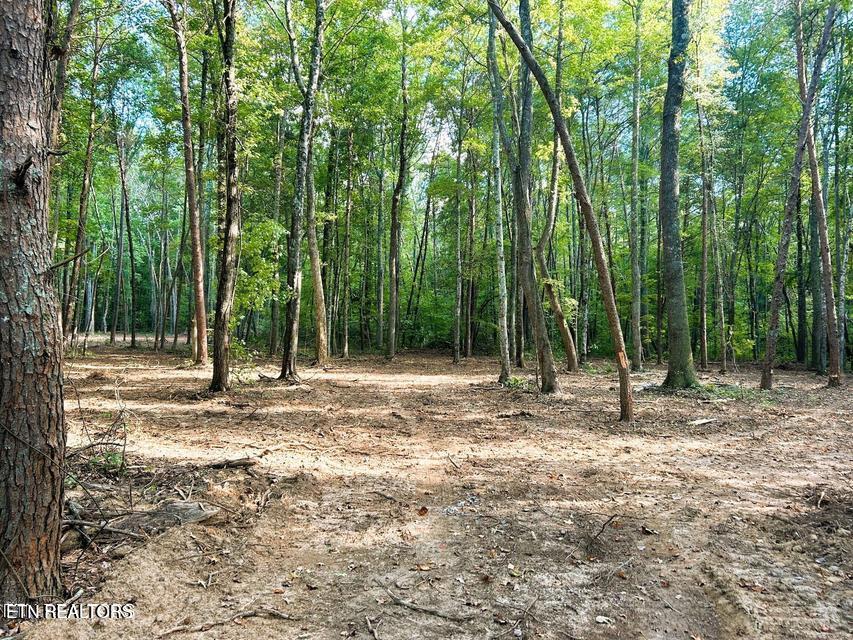 Tract 5 Pleasant Hill Road Ten Mile TN 37880