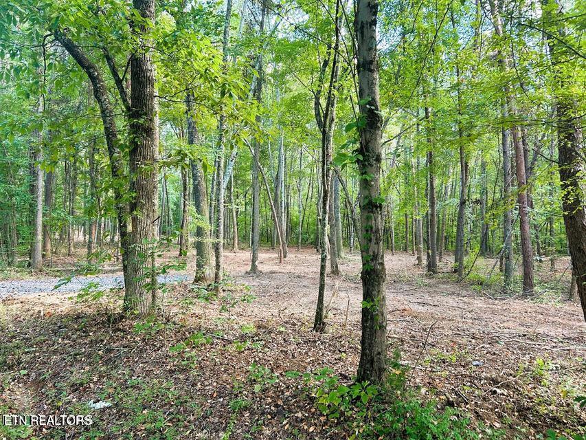 Tract 5 Pleasant Hill Road Ten Mile TN 37880